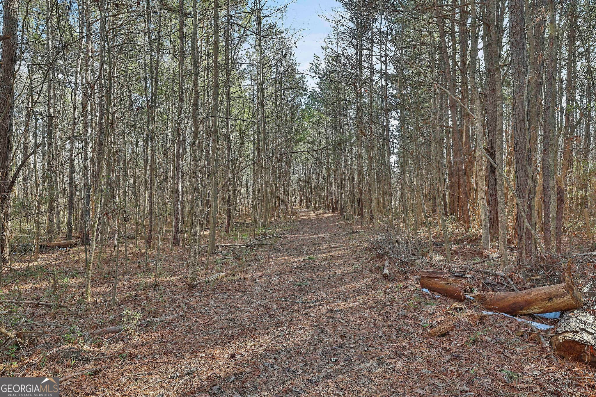 agriculture for sale at 1870 Highway 92, Fayetteville, GA 30214 — photo 9