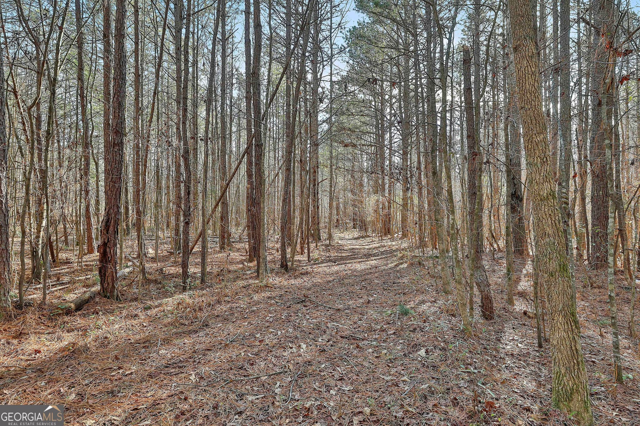 agriculture for sale at 1870 Highway 92, Fayetteville, GA 30214 — photo 10