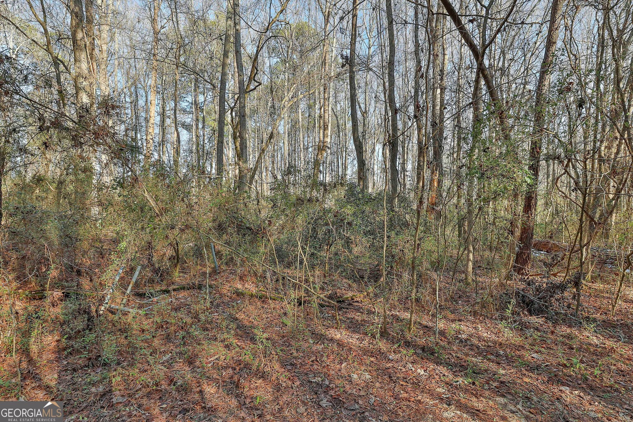 agriculture for sale at 1870 Highway 92, Fayetteville, GA 30214 — photo 8