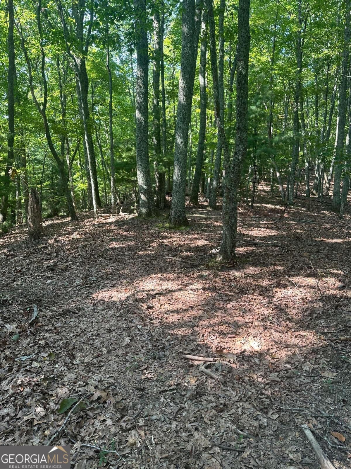 residential lot for sale at 0 Brooks Ridge Road, Mineral Bluff, GA 30559 — photo 2