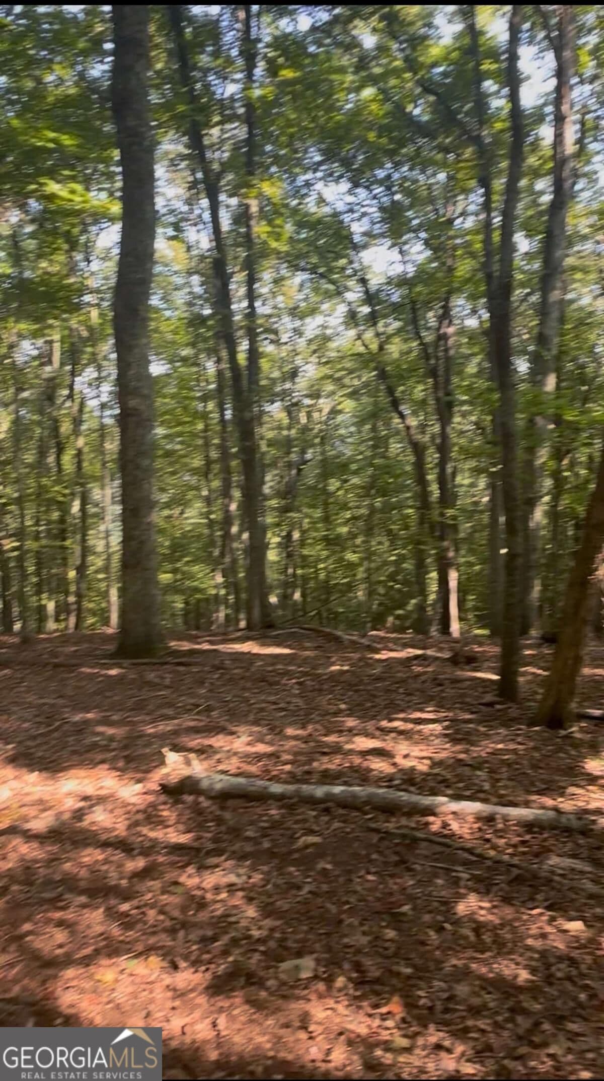 residential lot for sale at 0 Brooks Ridge Road, Mineral Bluff, GA 30559 — photo 1 of 2