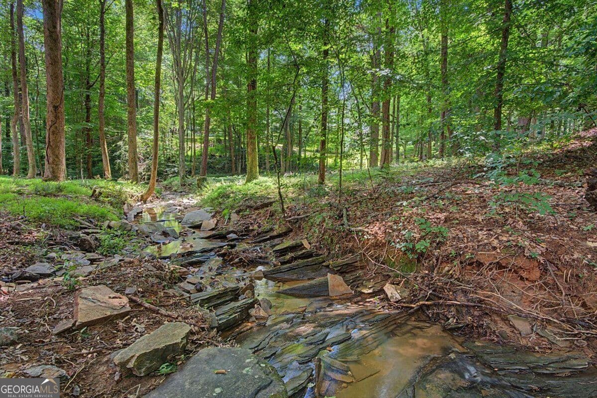 5 bedroom, 5.5 bathroom, 6,863 sq ft single family residence for sale at 1244 Timberland Drive, Marietta, GA 30067 — photo 4