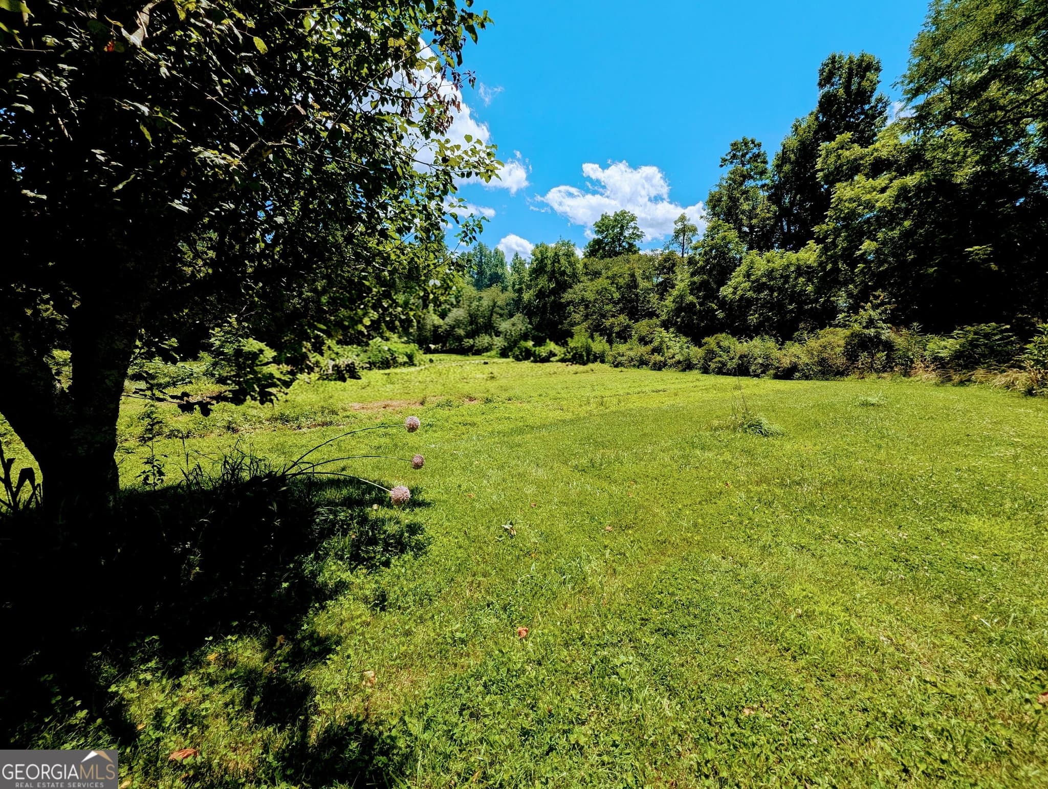 3 bedroom, 2.5 bathroom, 2,234 sq ft single family residence under contract at 169 E Vineyard Road, Hayesville, NC 28904 — photo 4