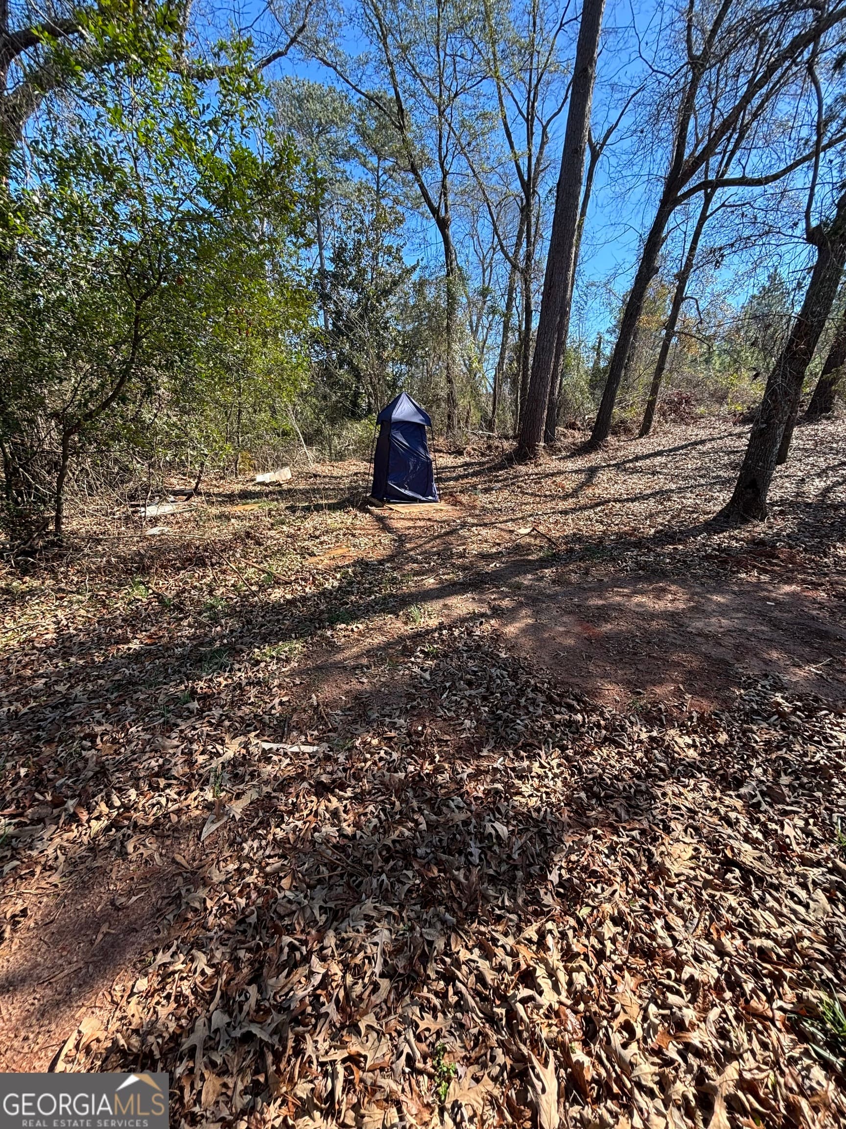 unimproved land for sale at 9694 Broad Street, Avera, GA 30803 — photo 2