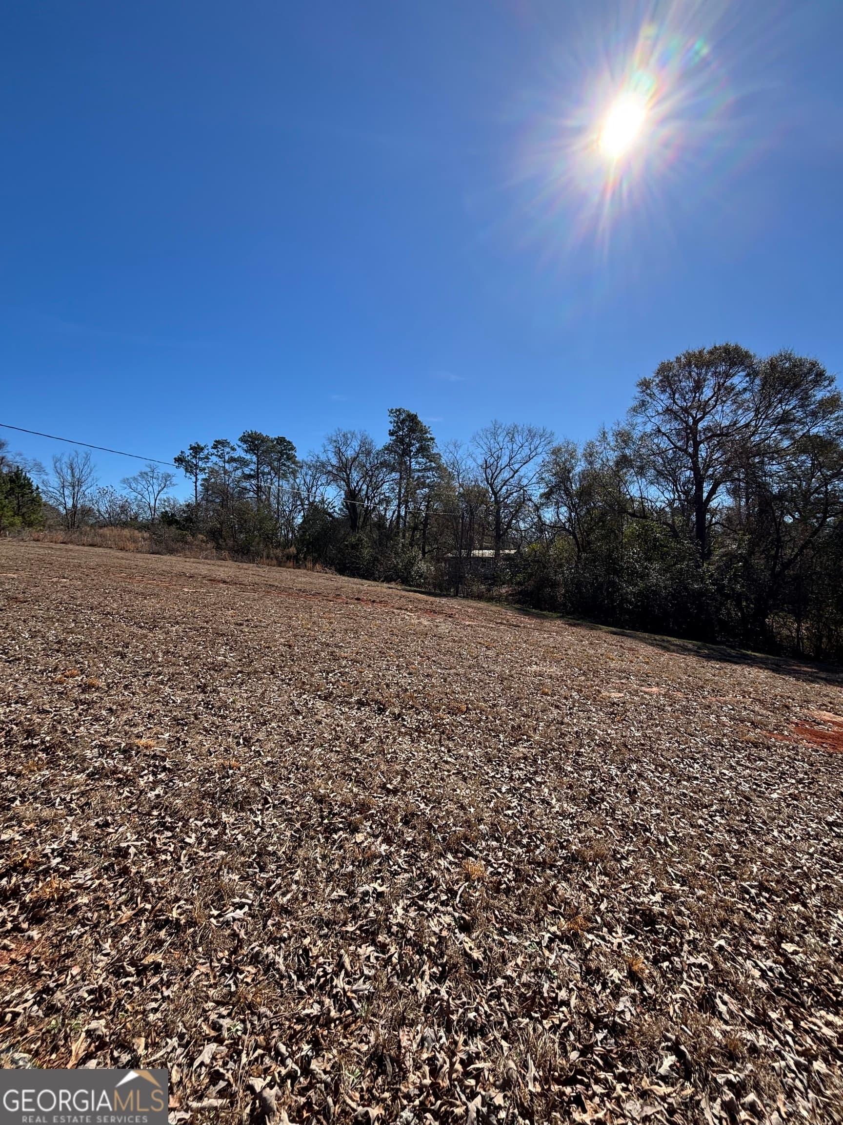 unimproved land for sale at 9694 Broad Street, Avera, GA 30803 — photo 6