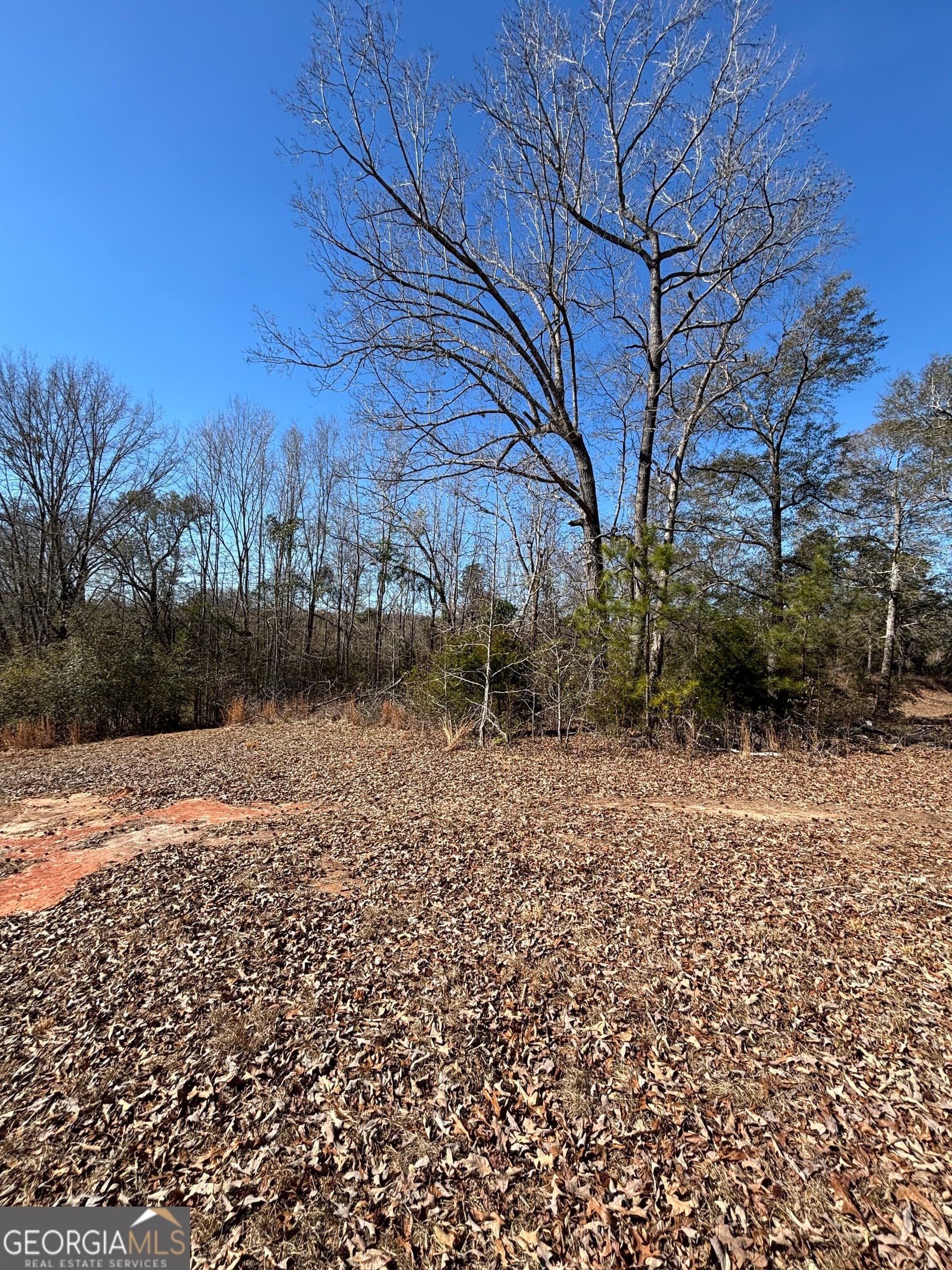 unimproved land for sale at 9694 Broad Street, Avera, GA 30803 — photo 7