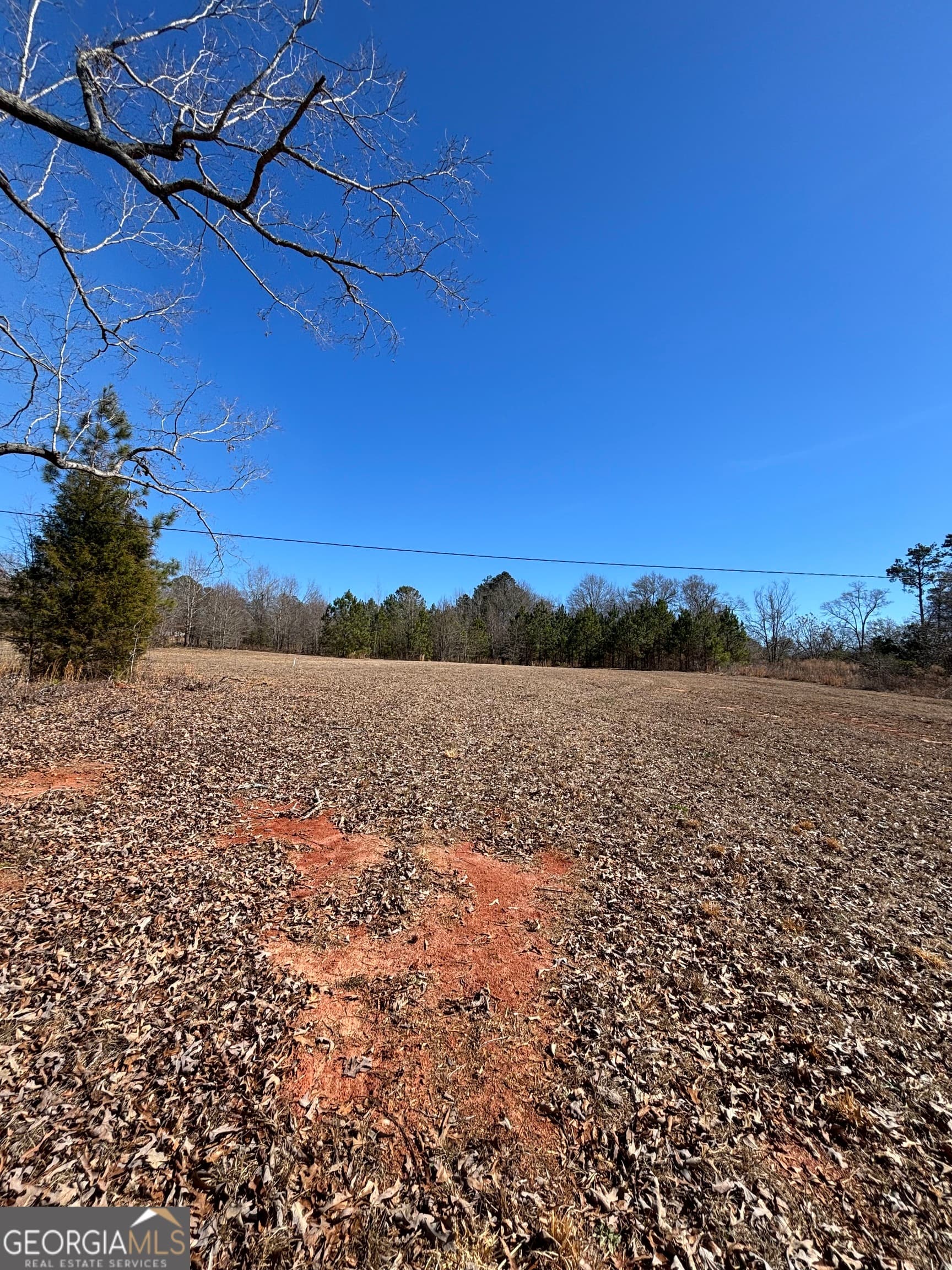 unimproved land for sale at 9694 Broad Street, Avera, GA 30803