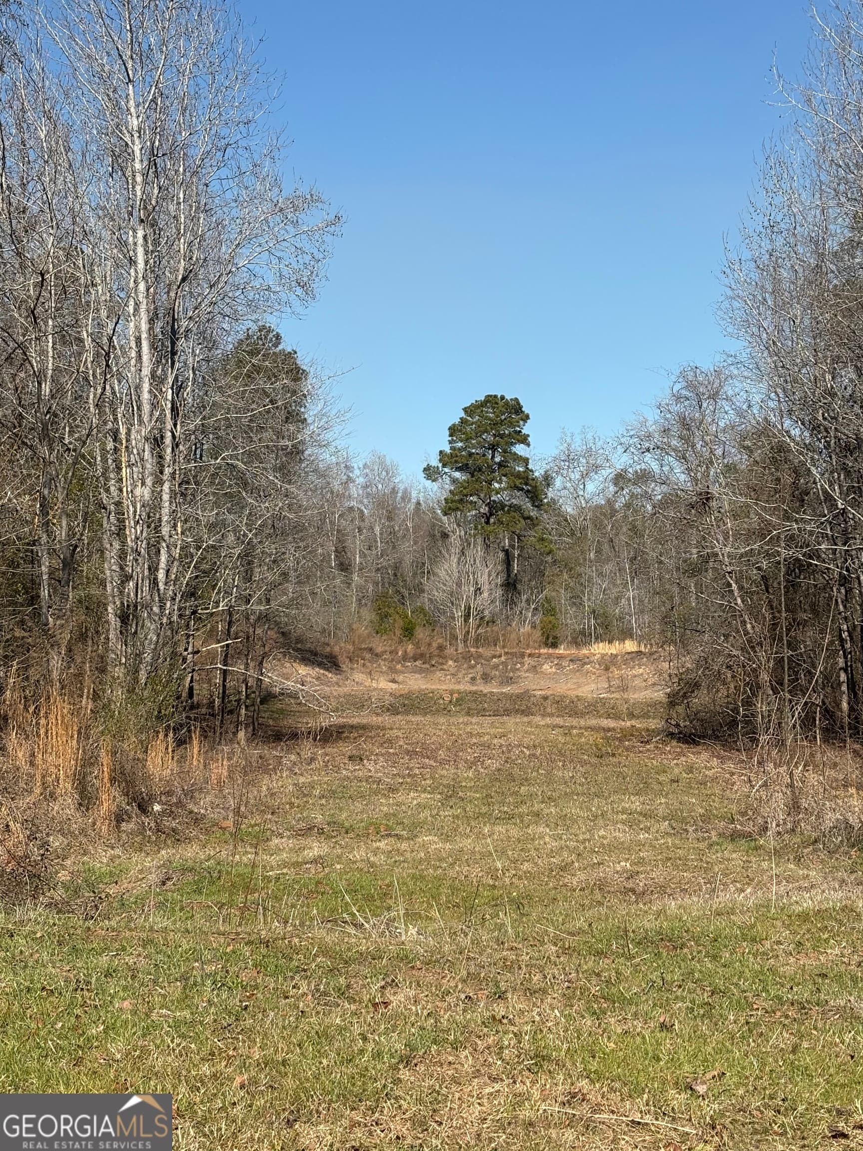 unimproved land for sale at 9694 Broad Street, Avera, GA 30803 — photo 5