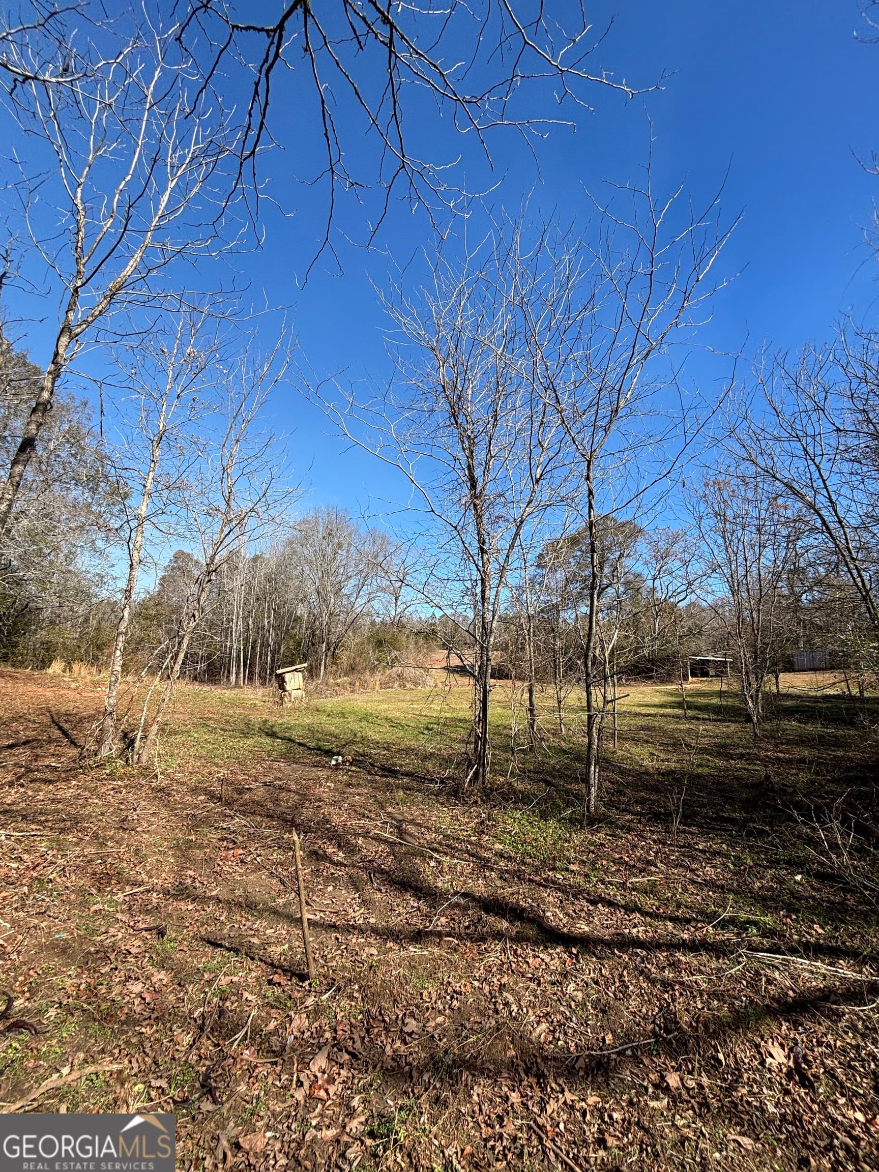 unimproved land for sale at 9694 Broad Street, Avera, GA 30803 — photo 4