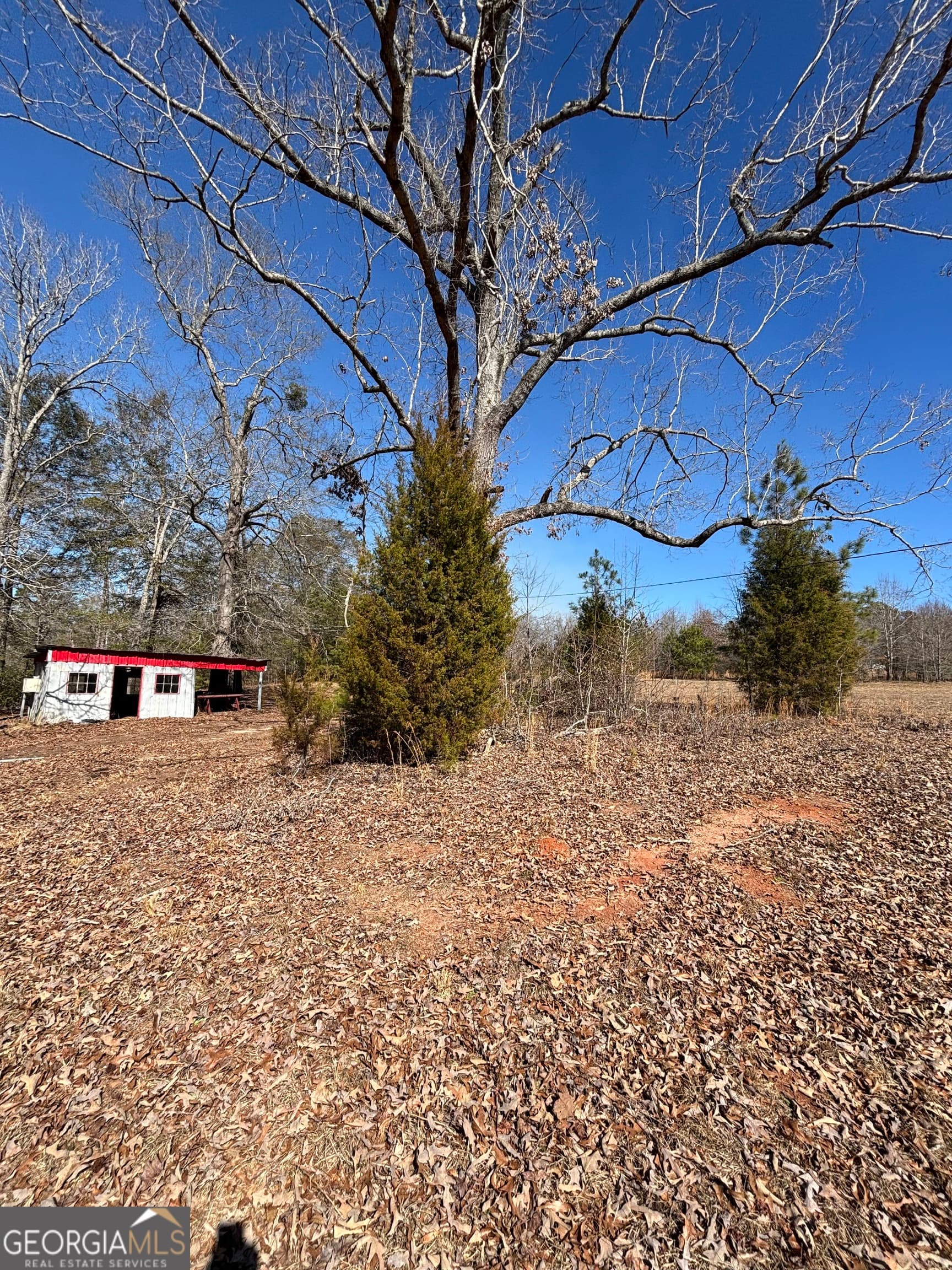 unimproved land for sale at 9694 Broad Street, Avera, GA 30803 — photo 8