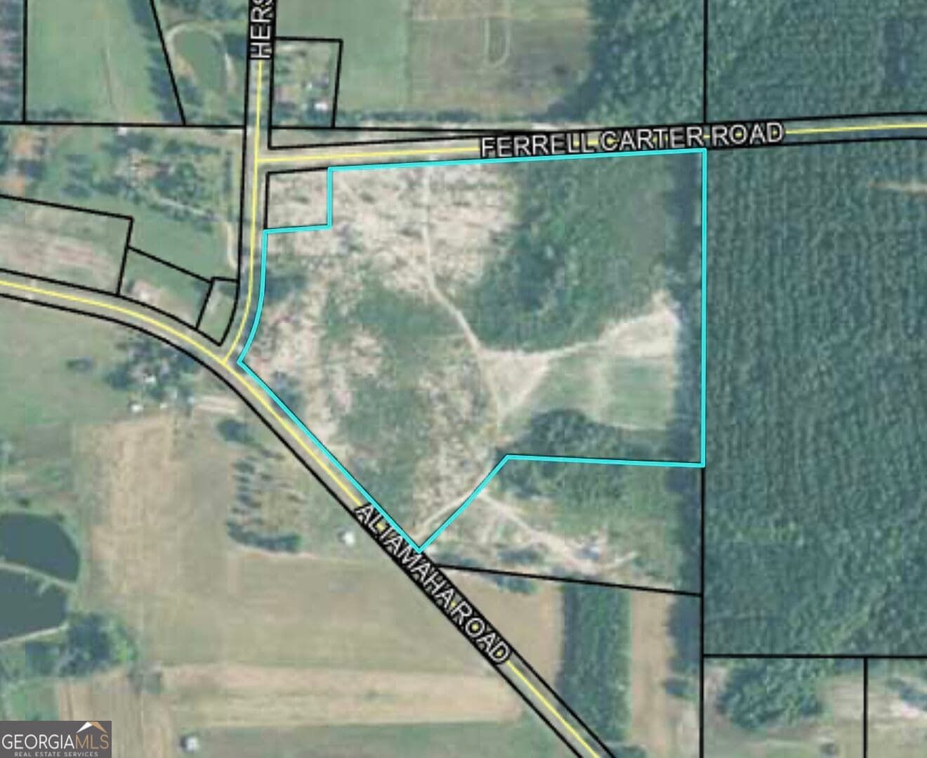 unimproved land for sale at 0 Altamaha Road, Hazlehurst, GA 31539 — photo 2
