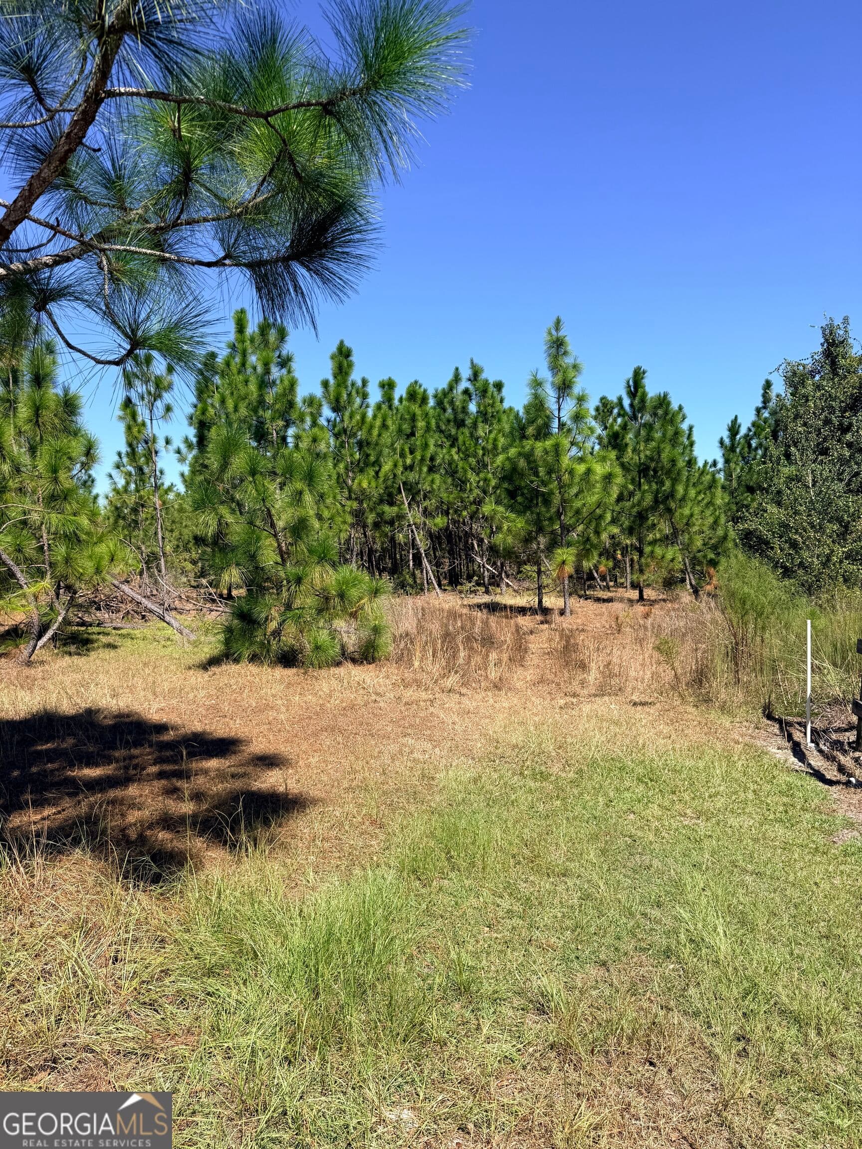 unimproved land for sale at 0 Altamaha Road, Hazlehurst, GA 31539 — photo 6