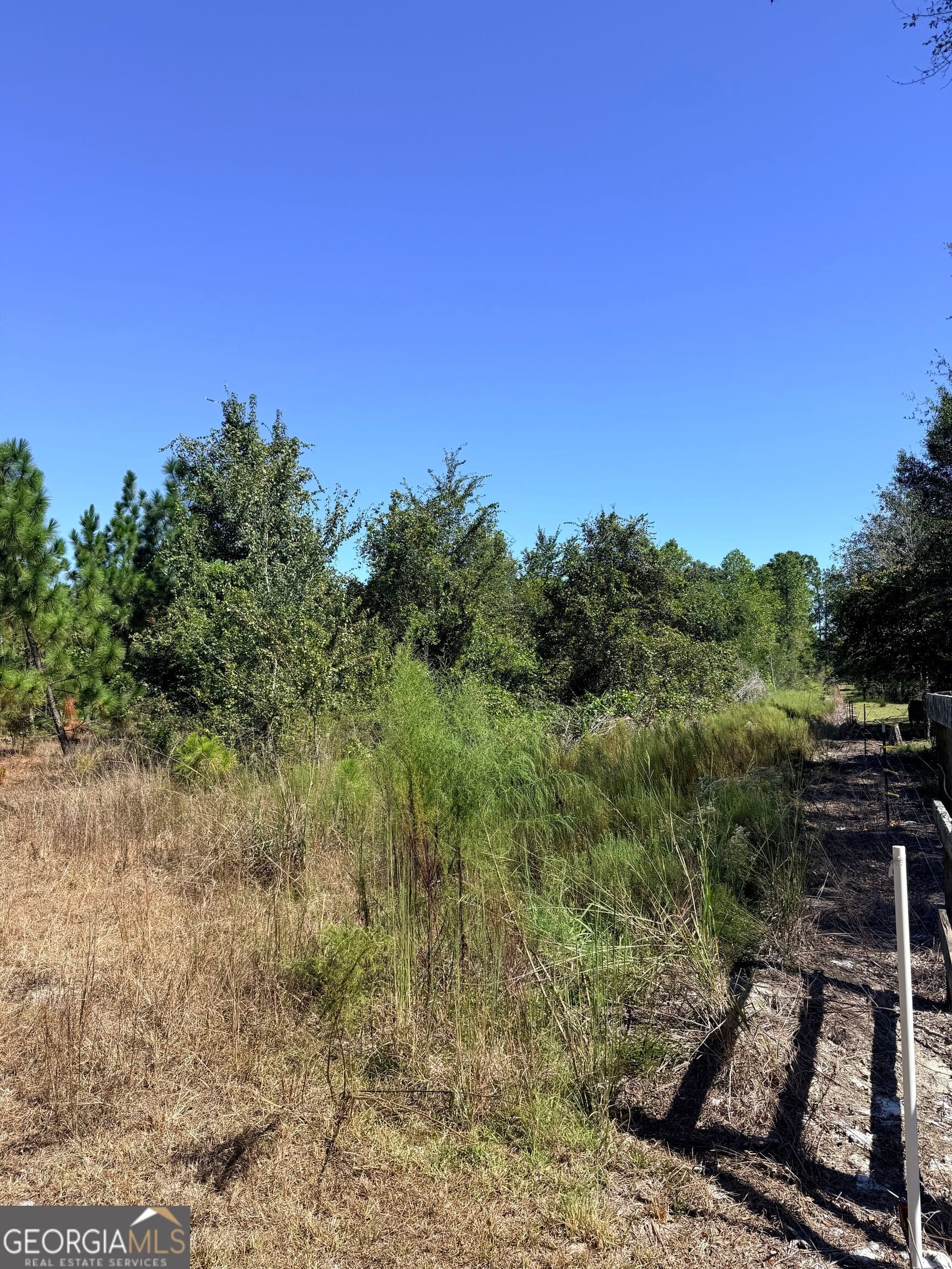 unimproved land for sale at 0 Altamaha Road, Hazlehurst, GA 31539 — photo 7