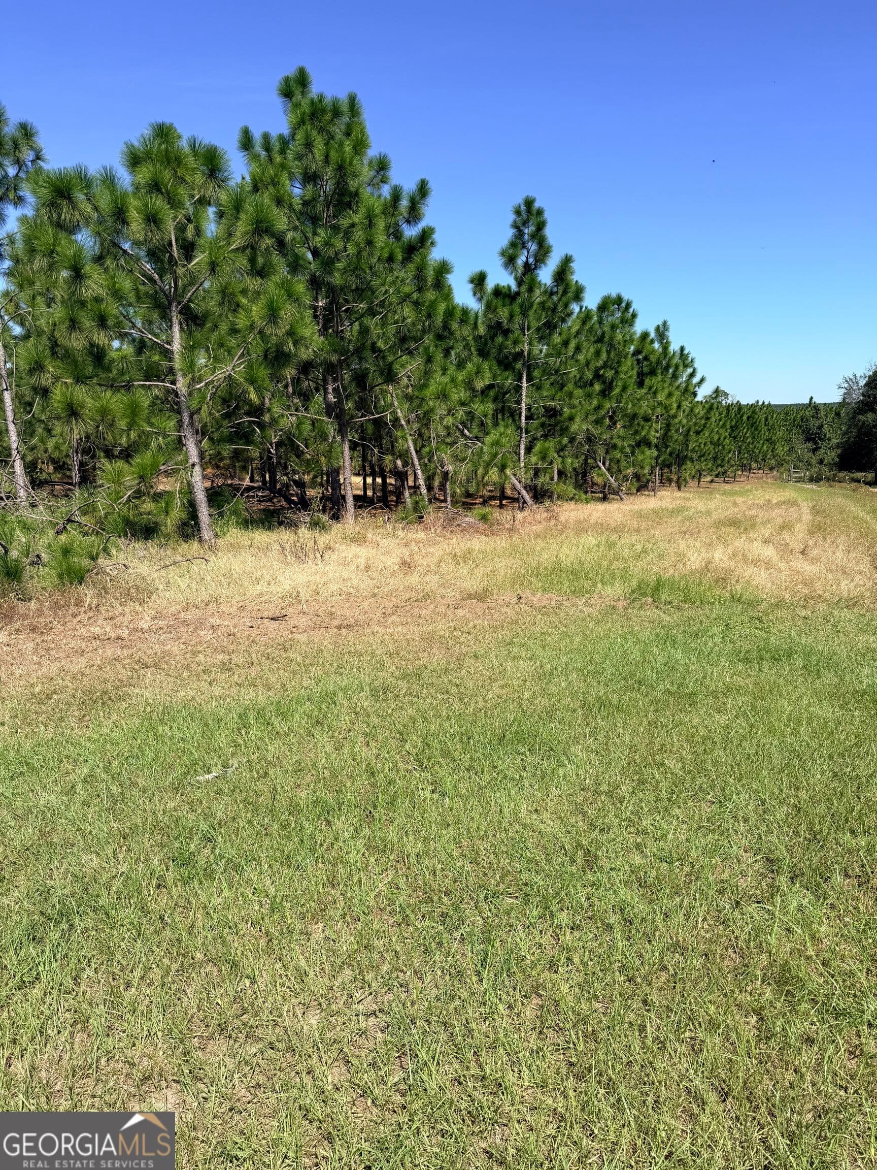 unimproved land for sale at 0 Altamaha Road, Hazlehurst, GA 31539 — photo 3