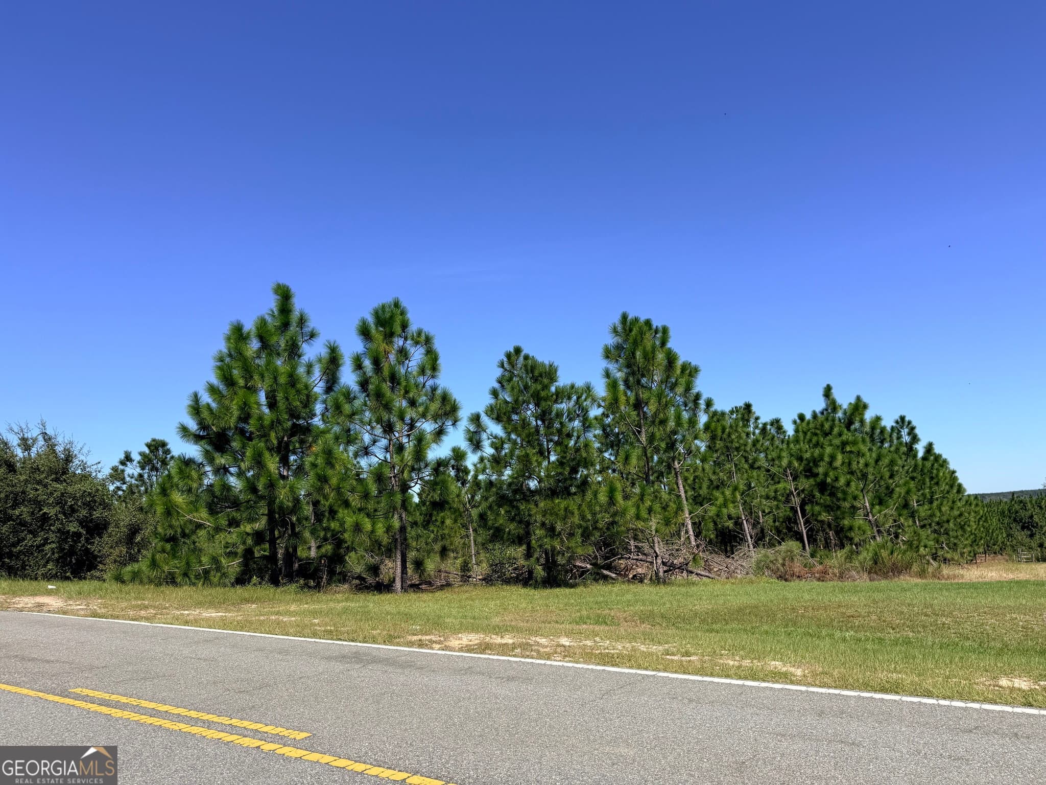unimproved land for sale at 0 Altamaha Road, Hazlehurst, GA 31539