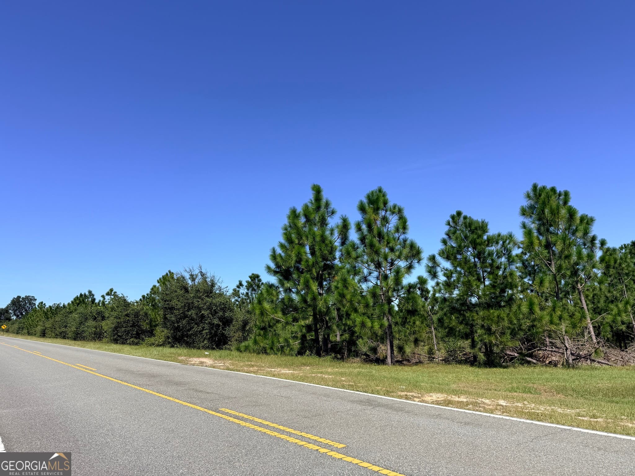 unimproved land for sale at 0 Altamaha Road, Hazlehurst, GA 31539 — photo 5