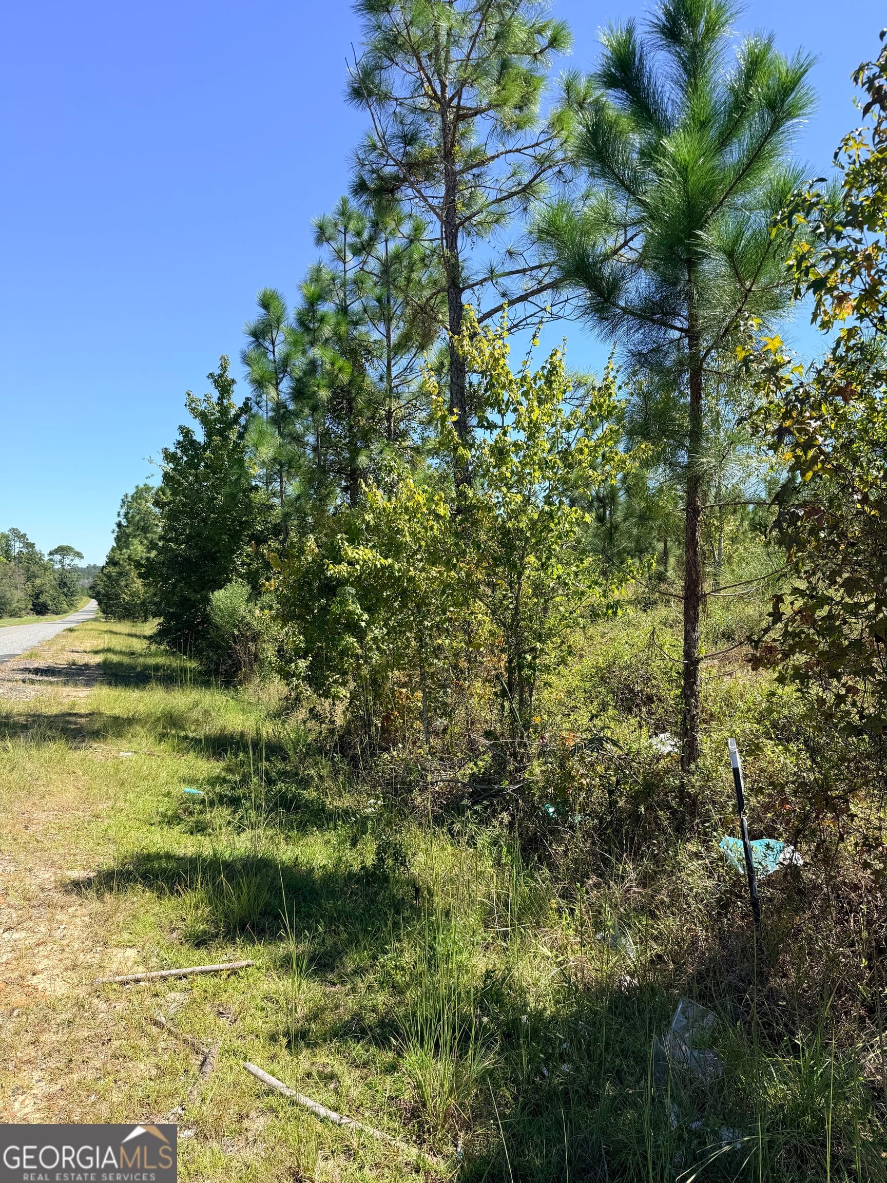 unimproved land for sale at 0 Altamaha Road, Hazlehurst, GA 31539 — photo 9