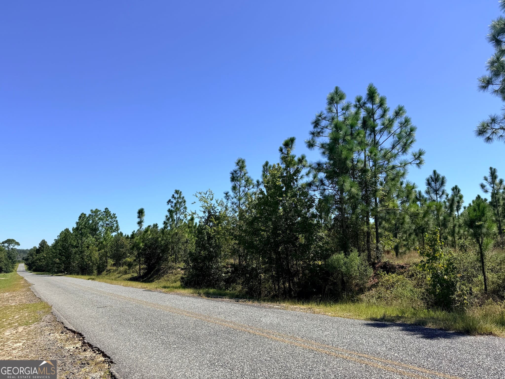 unimproved land for sale at 0 Altamaha Road, Hazlehurst, GA 31539 — photo 10