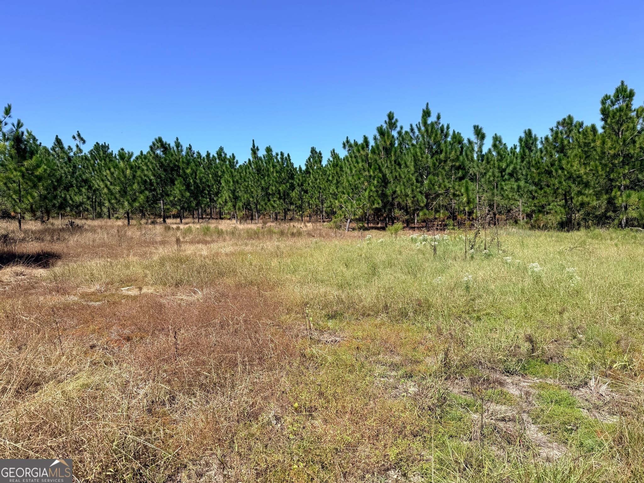unimproved land for sale at 0 Altamaha Road, Hazlehurst, GA 31539 — photo 4