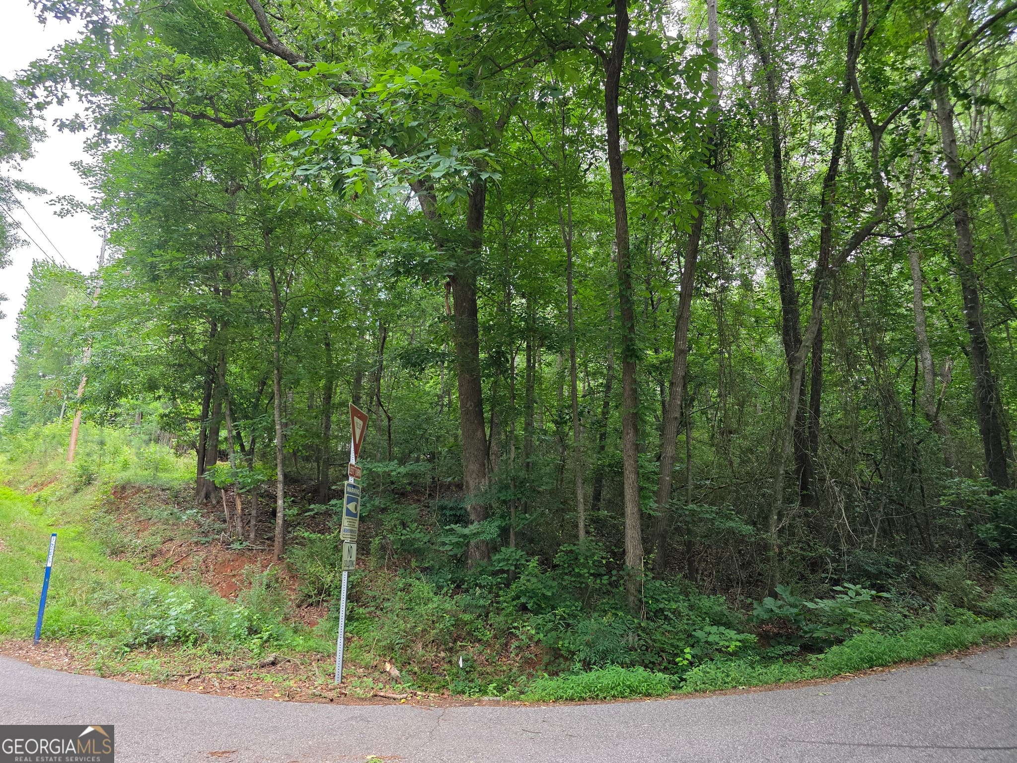 residential lot for sale at LOT 109 Arrowhead Drive, Lavonia, GA 30553 — photo 2