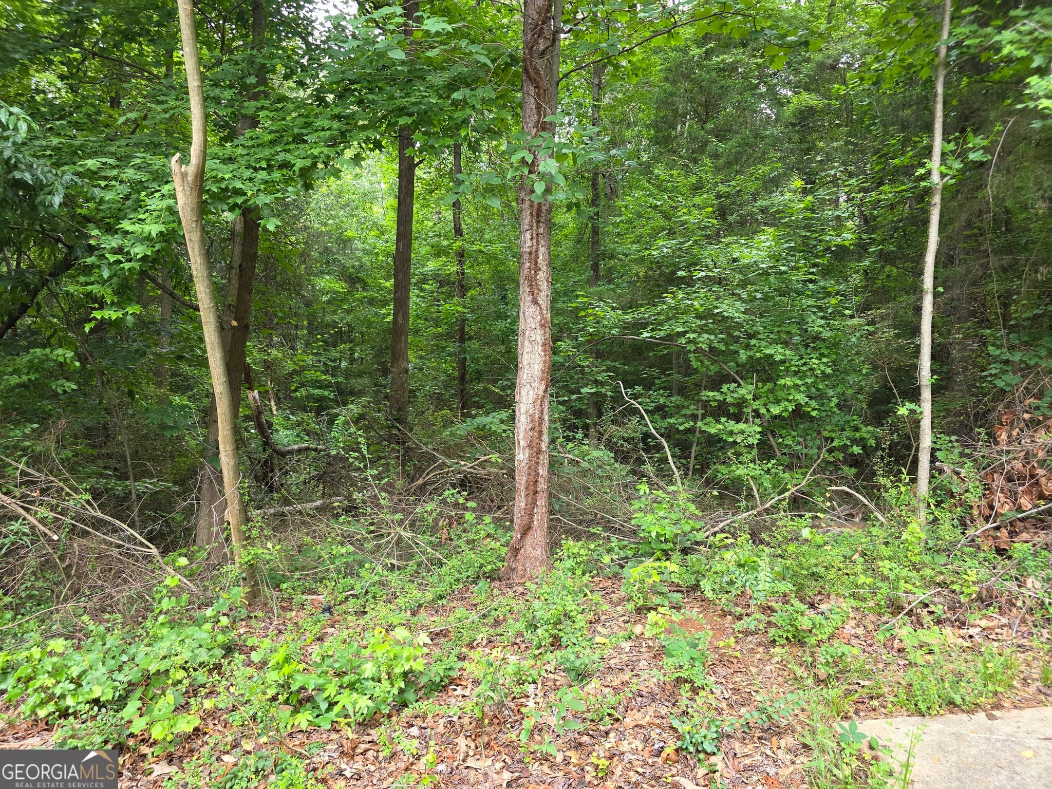 residential lot for sale at LOT 109 Arrowhead Drive, Lavonia, GA 30553 — photo 6
