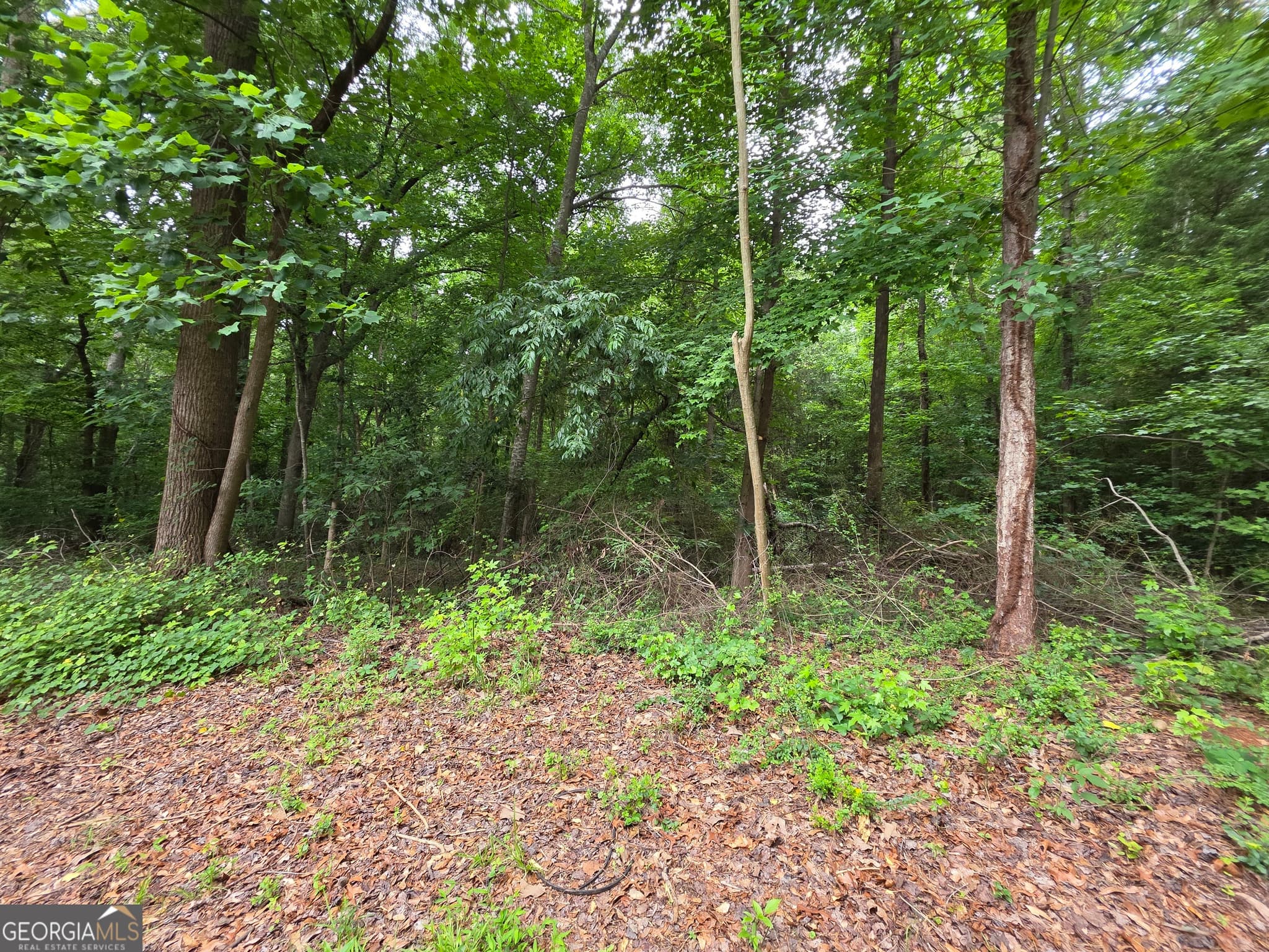 residential lot for sale at LOT 109 Arrowhead Drive, Lavonia, GA 30553 — photo 7