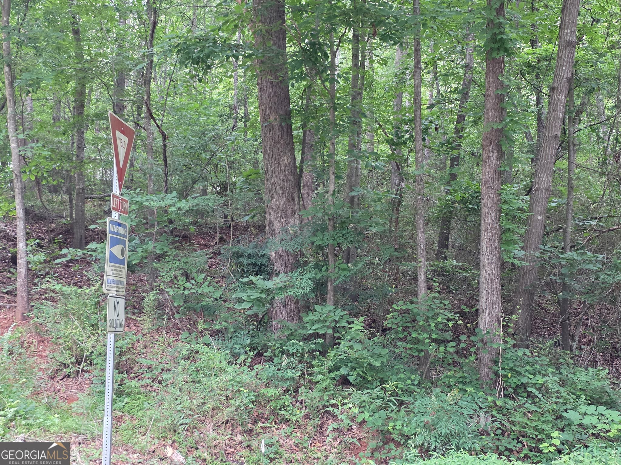 residential lot for sale at LOT 109 Arrowhead Drive, Lavonia, GA 30553 — photo 3