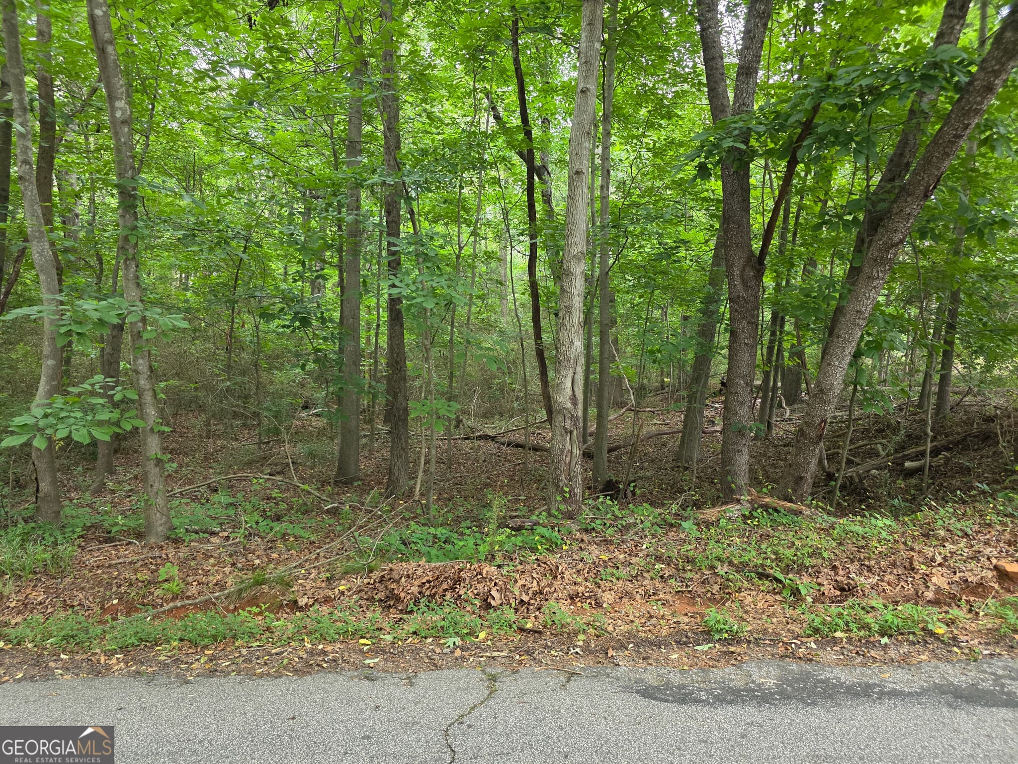 residential lot for sale at LOT 109 Arrowhead Drive, Lavonia, GA 30553 — photo 1 of 14
