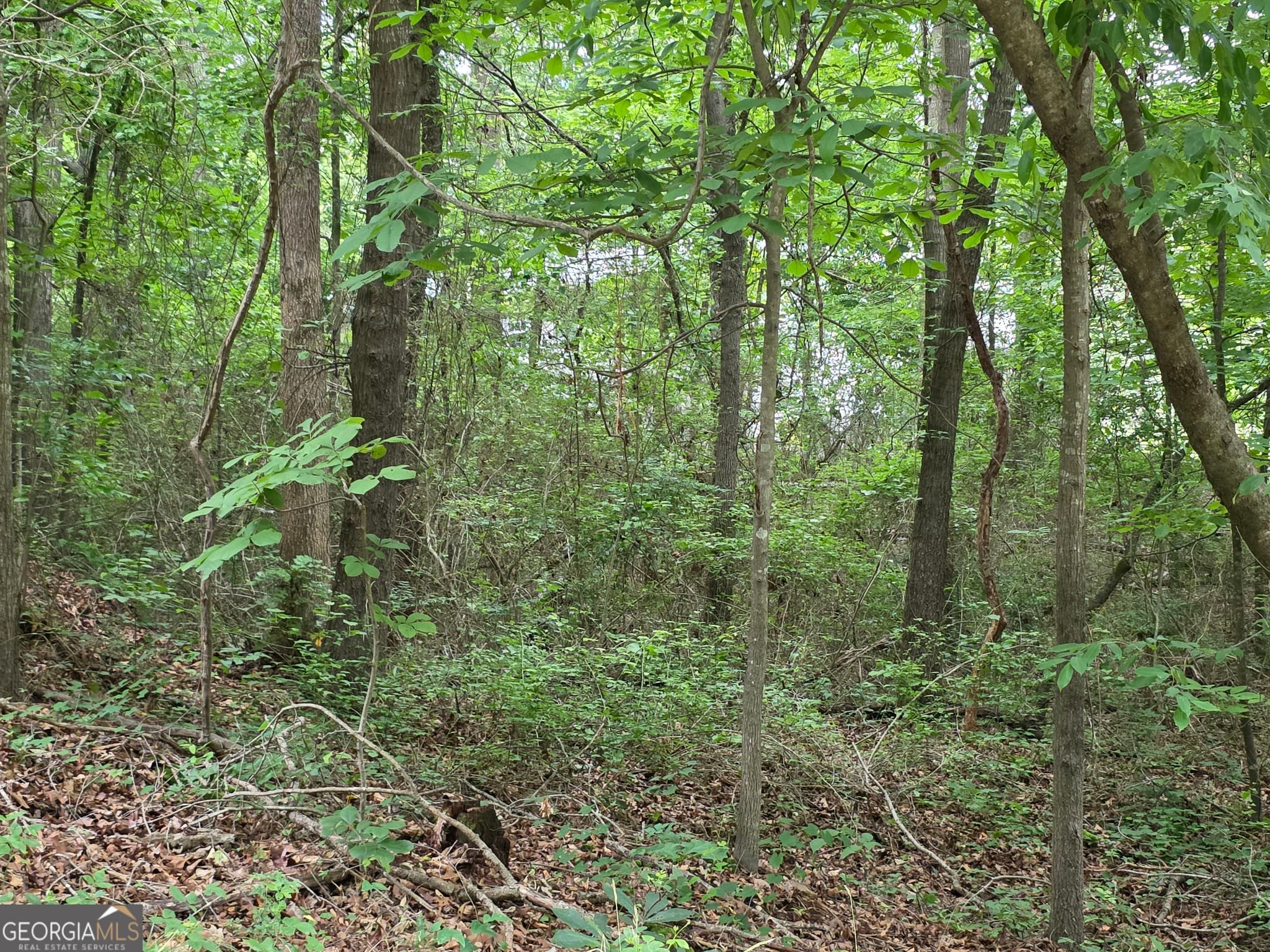 residential lot for sale at LOT 109 Arrowhead Drive, Lavonia, GA 30553 — photo 5