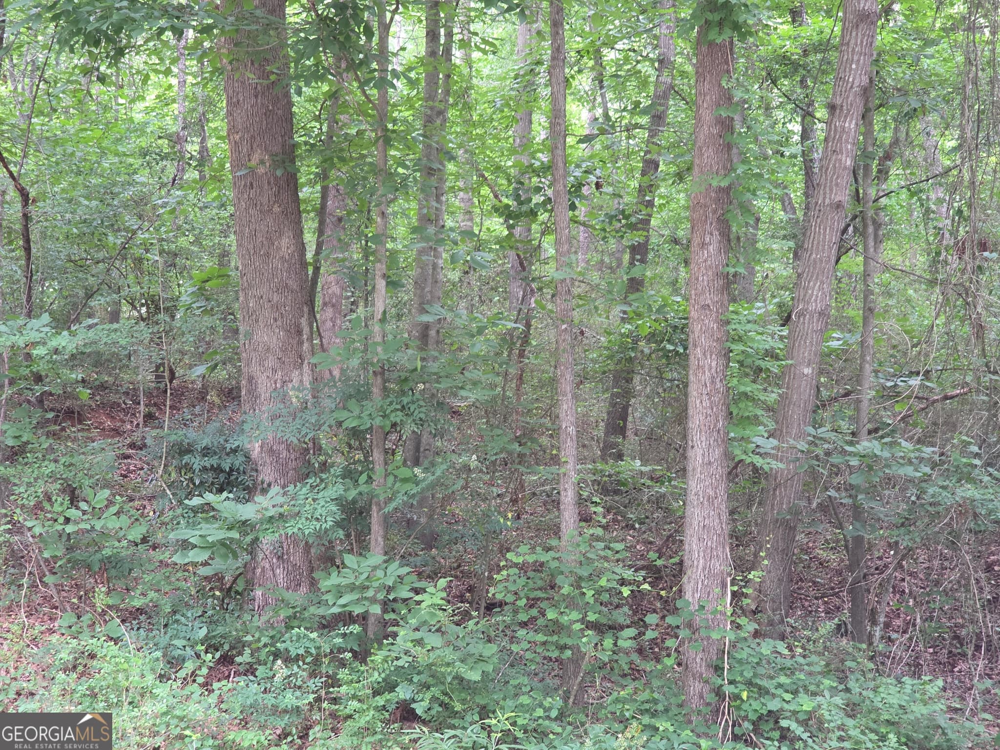 residential lot for sale at LOT 109 Arrowhead Drive, Lavonia, GA 30553 — photo 4
