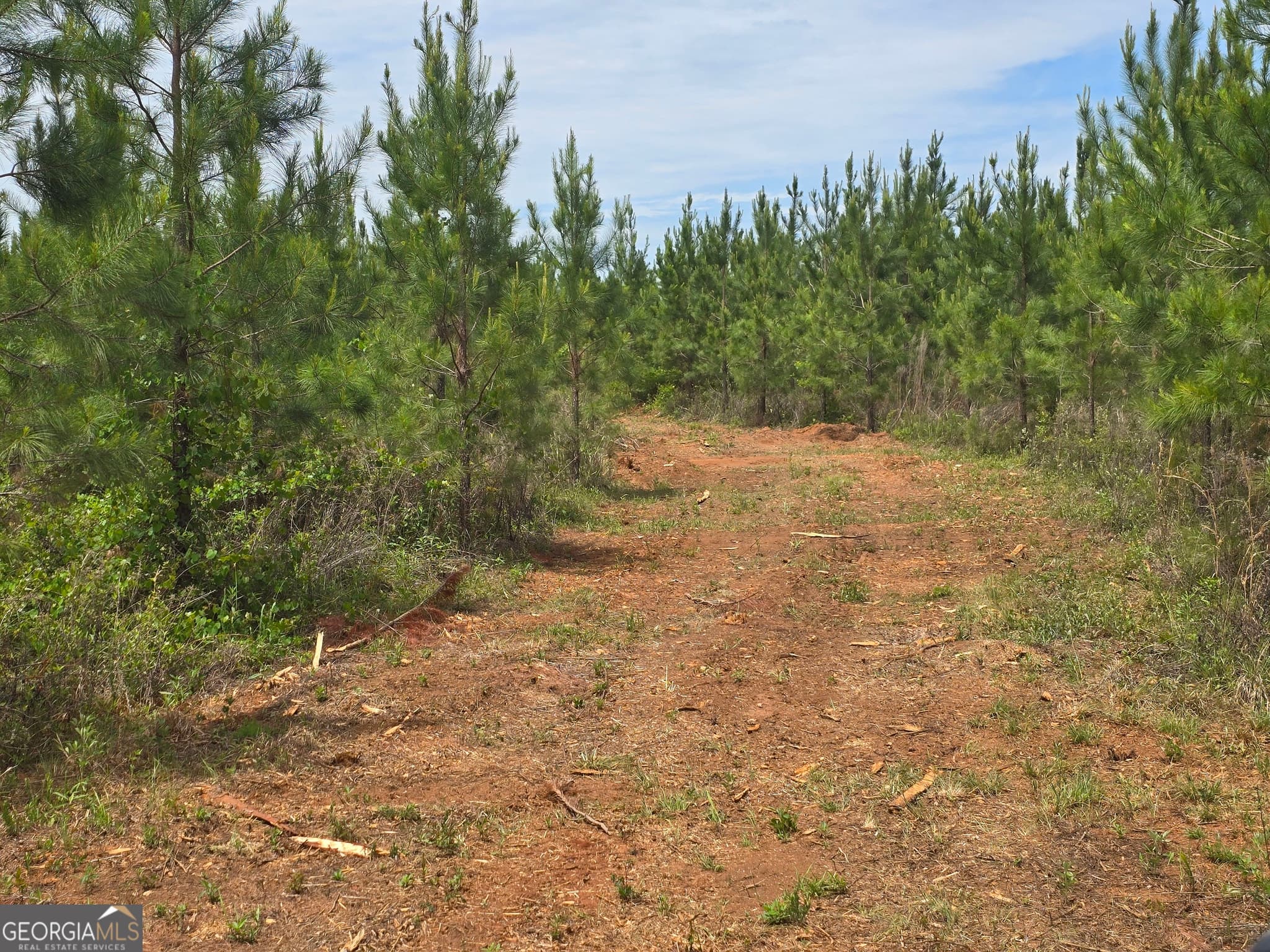 agriculture sold at 13 Marvin Murphy Road, Ellaville, GA 31806