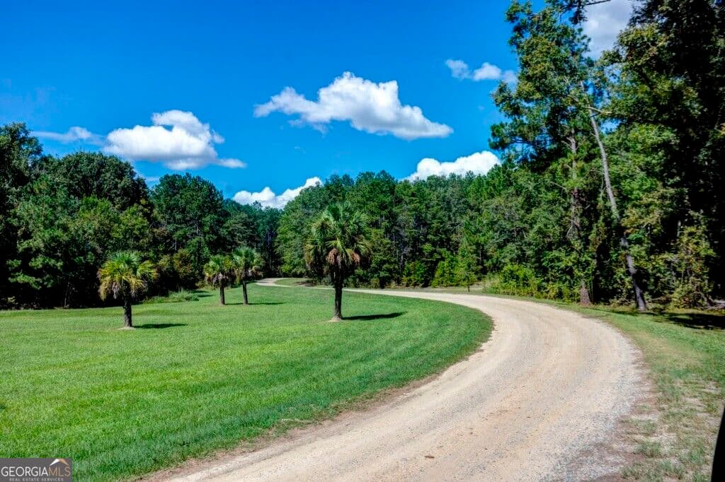 residential lot for sale at 212 Cherokee Road, Glenwood, GA 30428 — photo 5