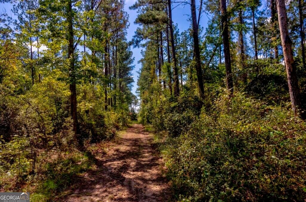 residential lot for sale at 212 Cherokee Road, Glenwood, GA 30428 — photo 10