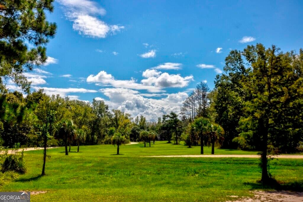 residential lot for sale at 212 Cherokee Road, Glenwood, GA 30428 — photo 8