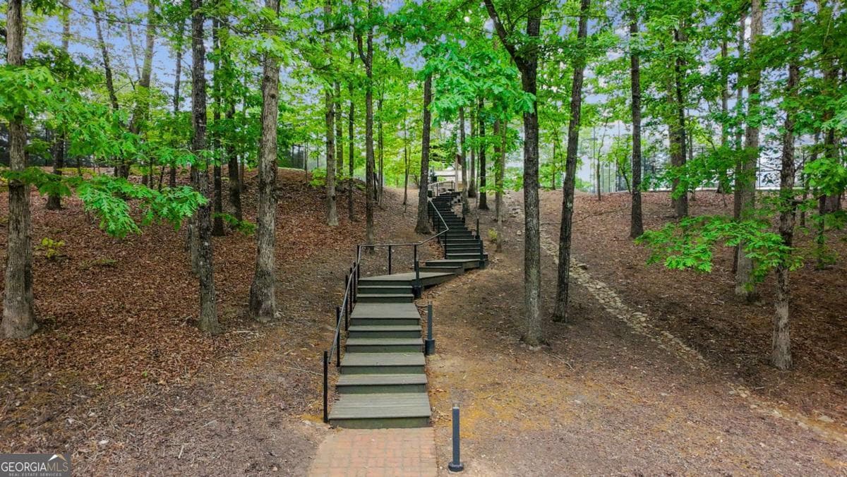 residential lot for sale at 290 River Sound Lane, Dawsonville, GA 30534 — photo 10