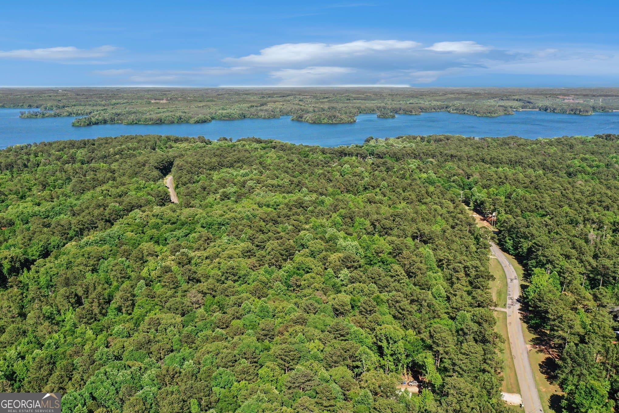 agriculture for sale at 13 Harbor Drive, Eatonton, GA 31024 — photo 6