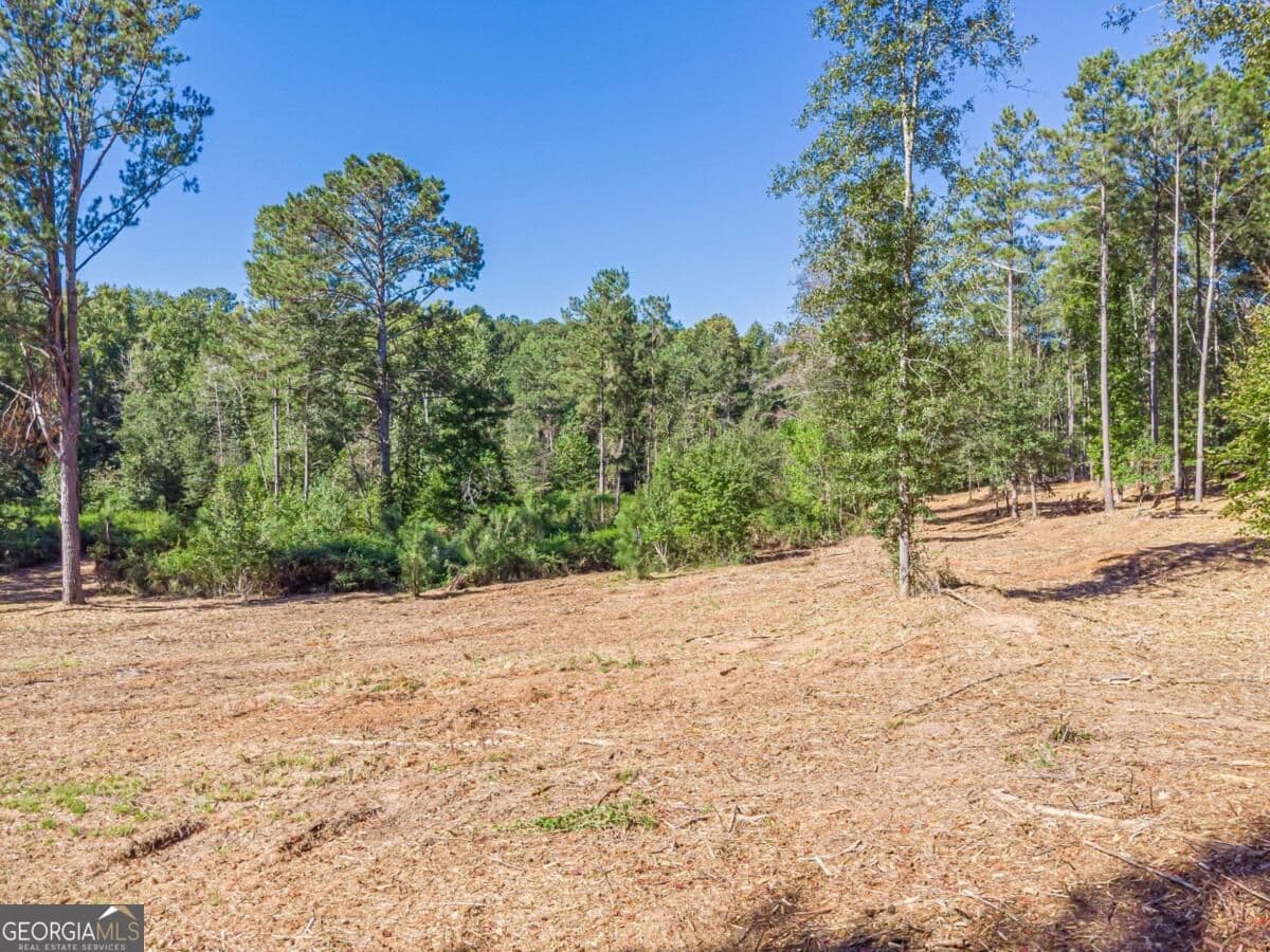 residential lot for sale at 3310 Etchison Road, Loganville, GA 30052 — photo 6