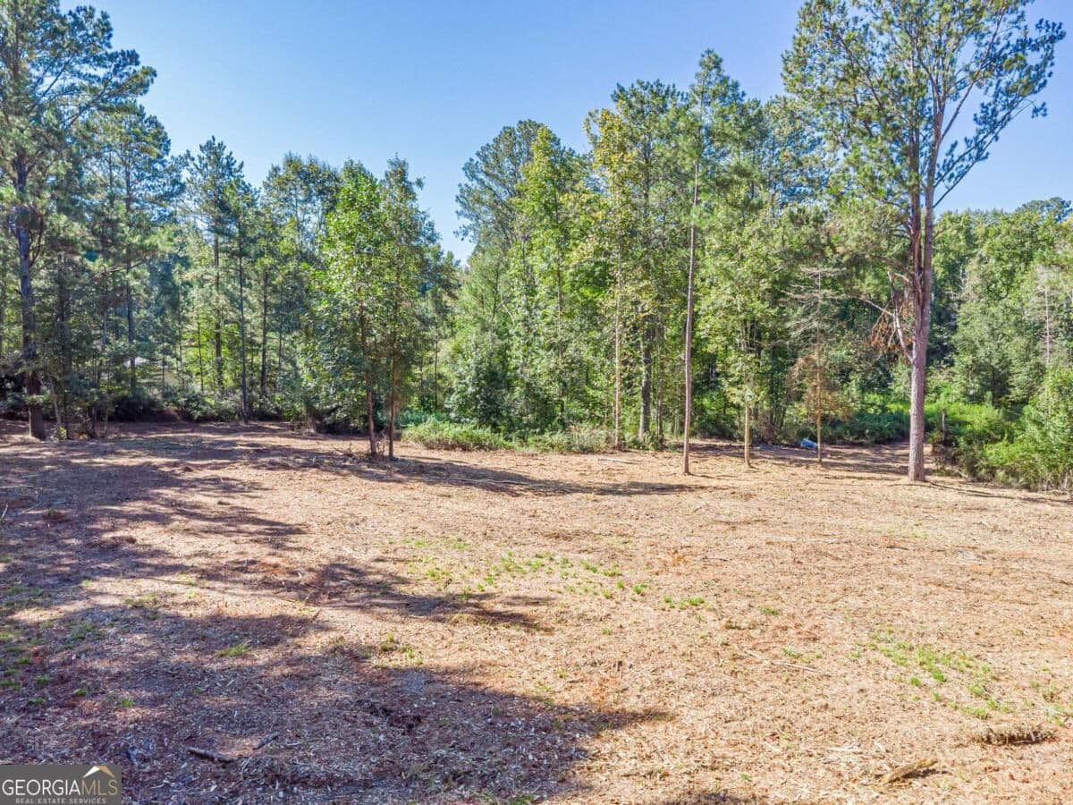 residential lot for sale at 3310 Etchison Road, Loganville, GA 30052 — photo 5