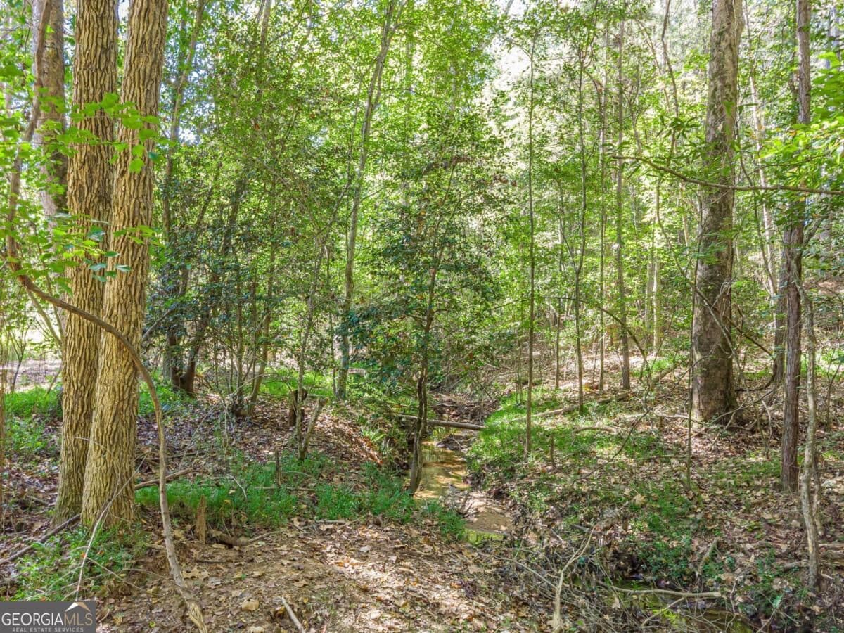 residential lot for sale at 3310 Etchison Road, Loganville, GA 30052 — photo 4