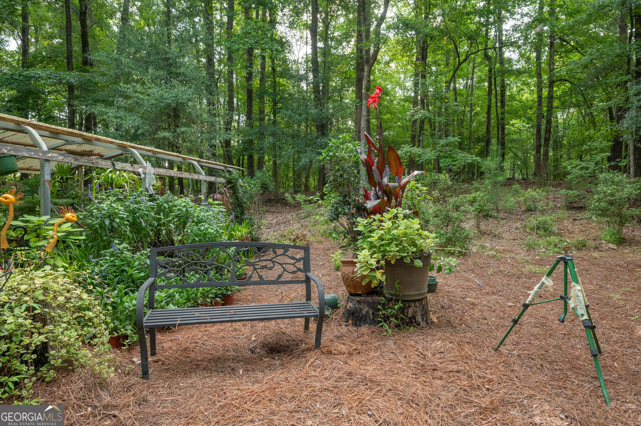 3 bedroom, 2 bathroom, 1,587 sq ft single family residence for sale at 285 Dollar Road, Hamilton, GA 31811 — photo 6