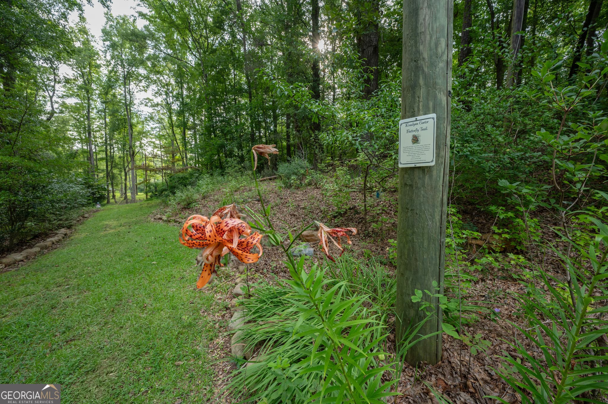 3 bedroom, 2 bathroom, 1,587 sq ft single family residence for sale at 285 Dollar Road, Hamilton, GA 31811 — photo 8