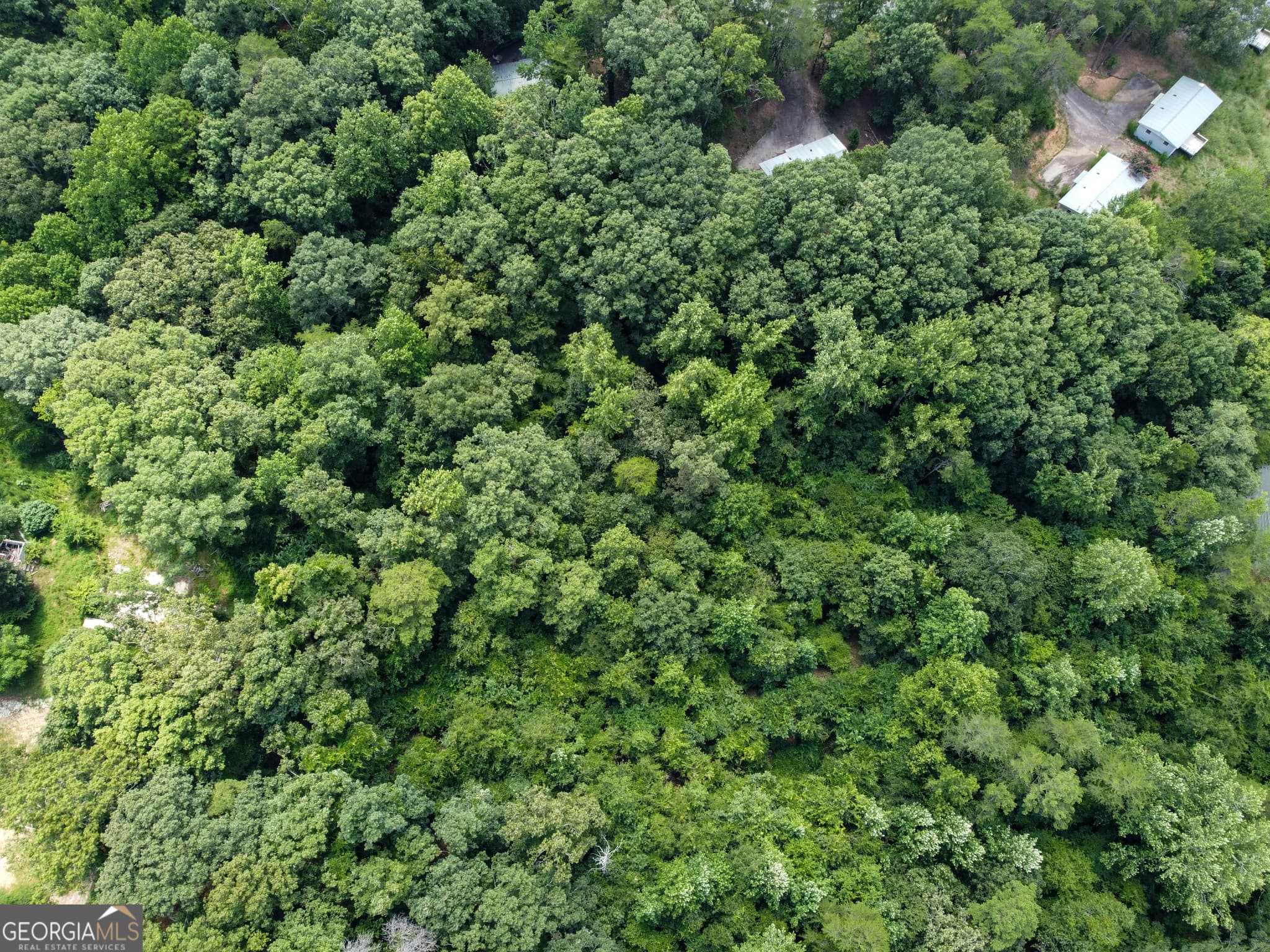 unimproved land for sale at 3847 Erwin Drive, Gainesville, GA 30506 — photo 6