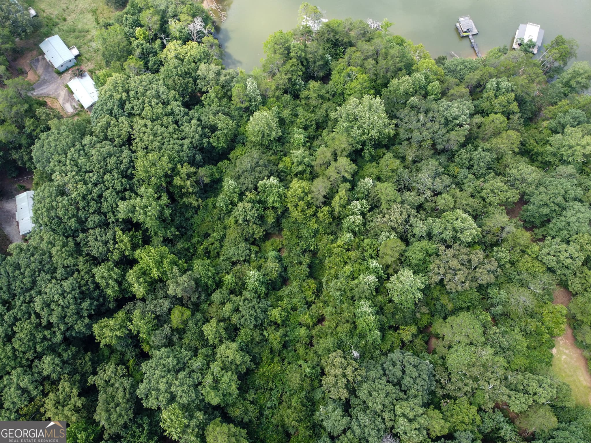 unimproved land for sale at 3847 Erwin Drive, Gainesville, GA 30506 — photo 5