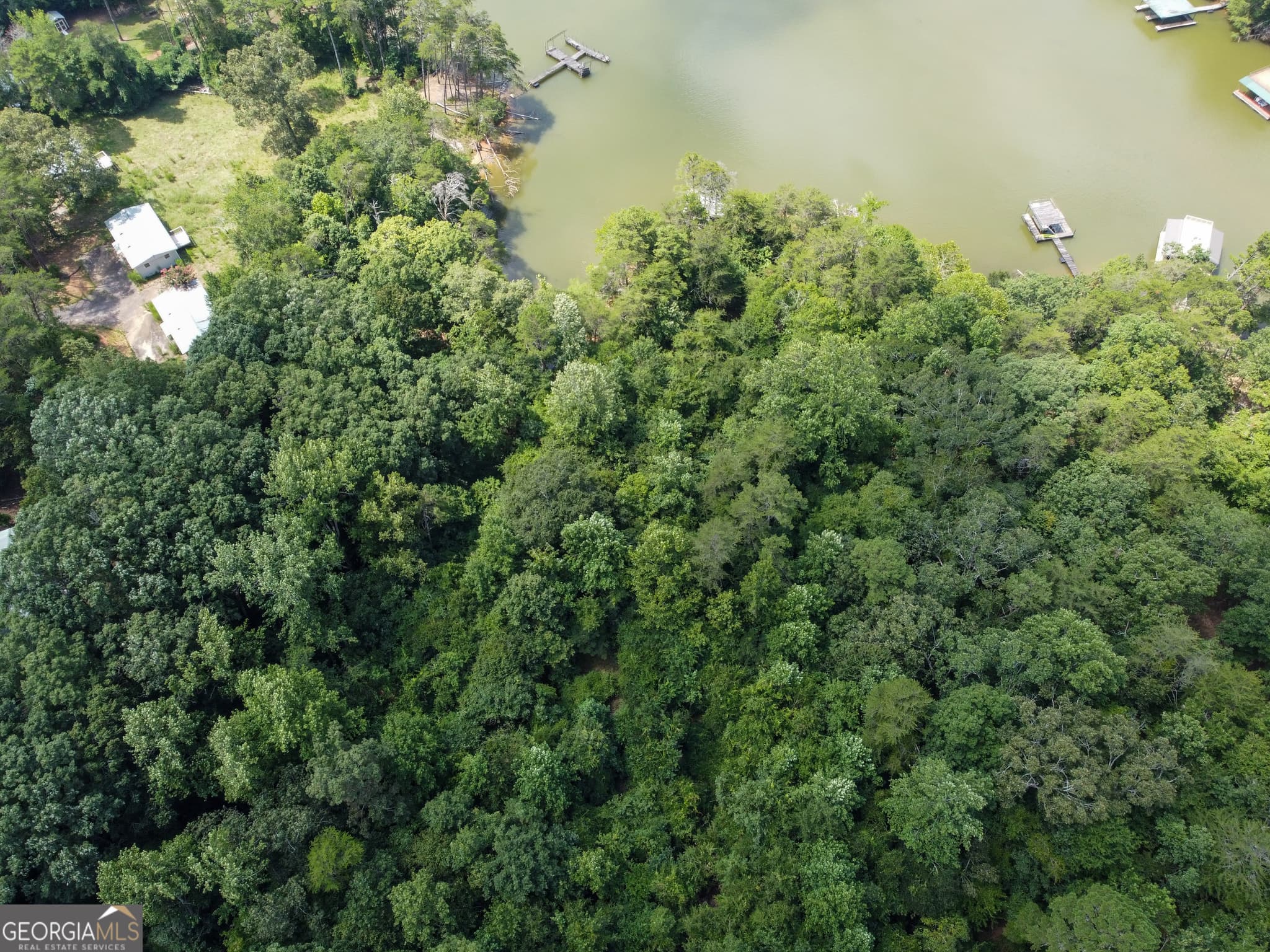 unimproved land for sale at 3847 Erwin Drive, Gainesville, GA 30506 — photo 4