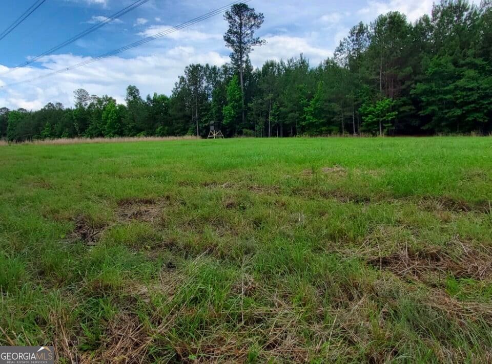 agriculture for sale at 1 Frazier Road, Sparta, GA 31087 — photo 2