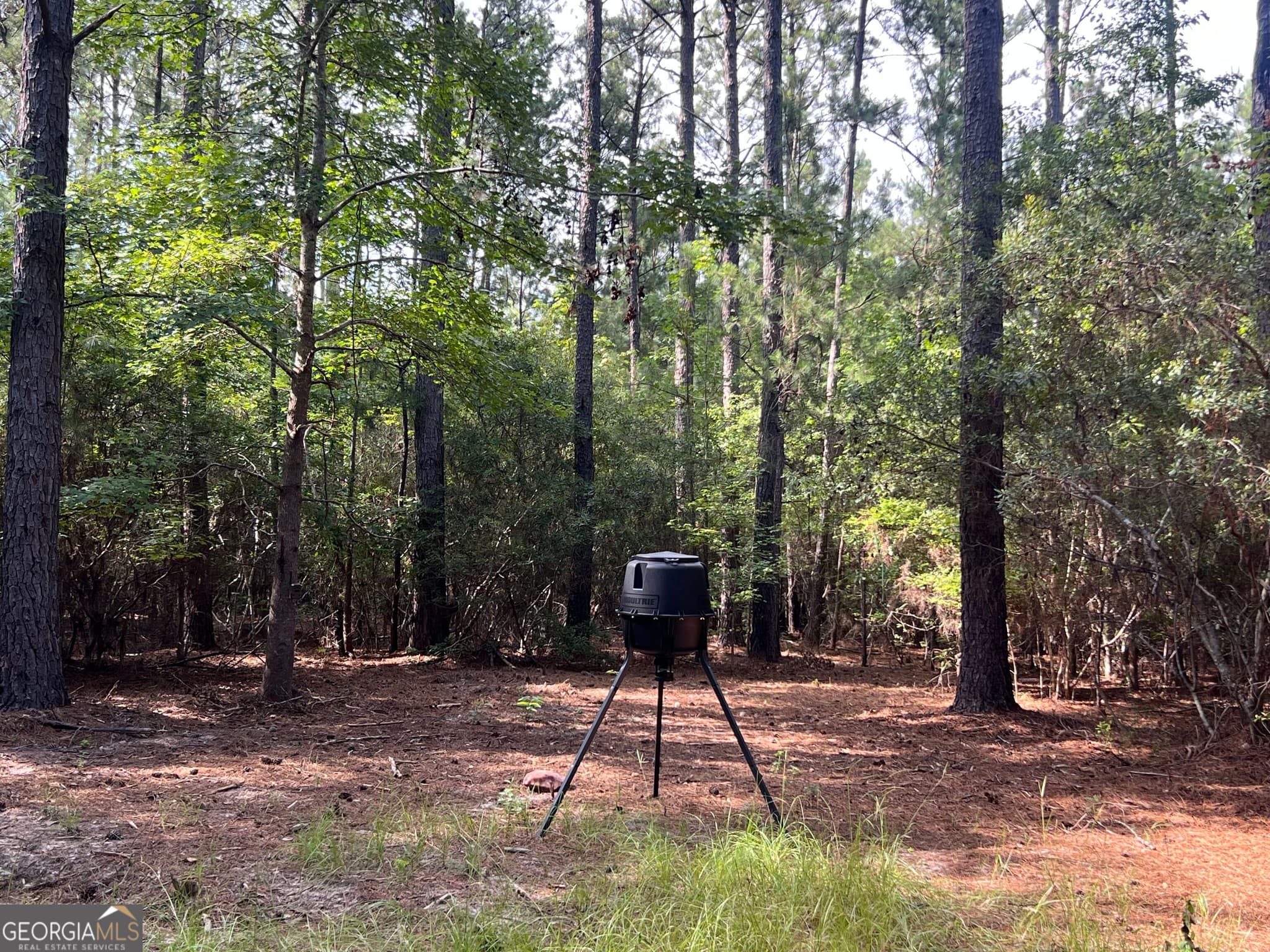 agriculture for sale at 1 Frazier Road, Sparta, GA 31087 — photo 6