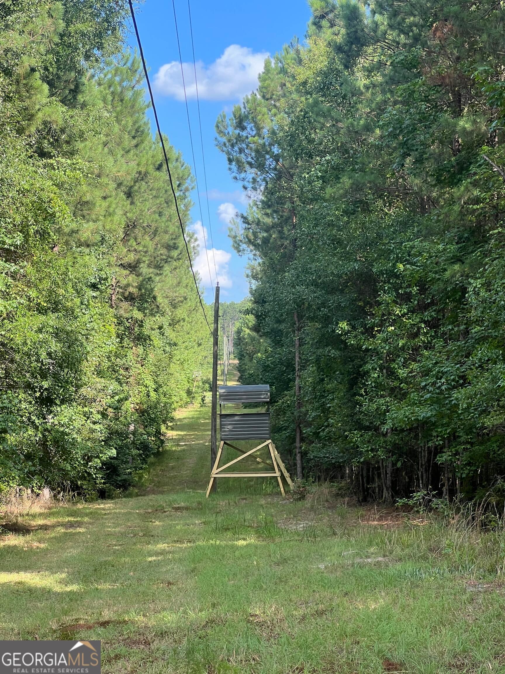 agriculture for sale at 1 Frazier Road, Sparta, GA 31087 — photo 7