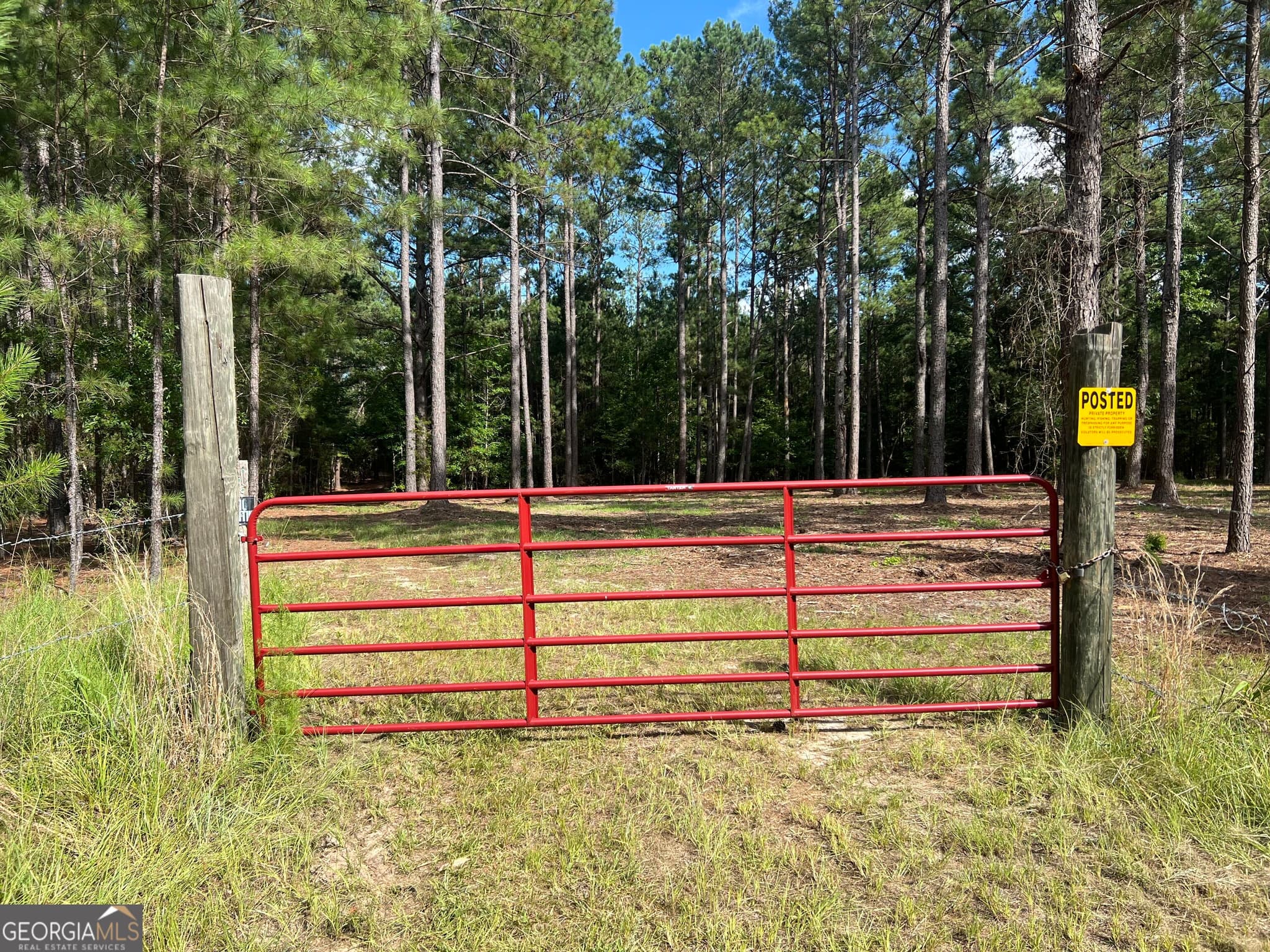 agriculture for sale at 1 Frazier Road, Sparta, GA 31087 — photo 3