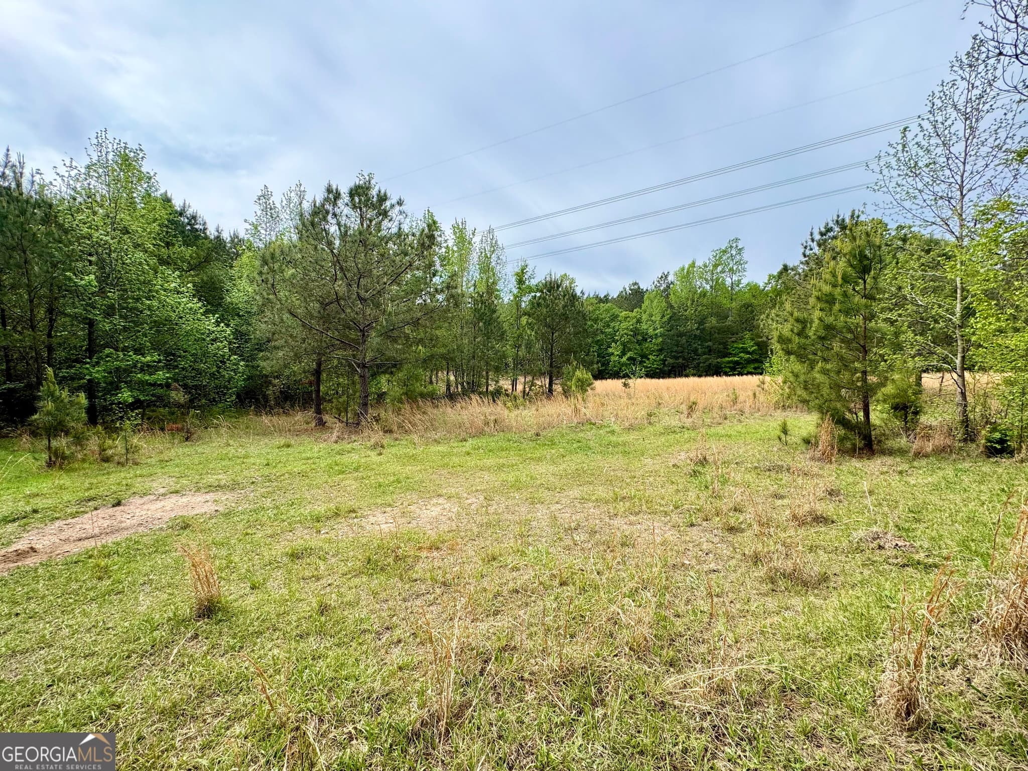 agriculture for sale at 1 Frazier Road, Sparta, GA 31087 — photo 9