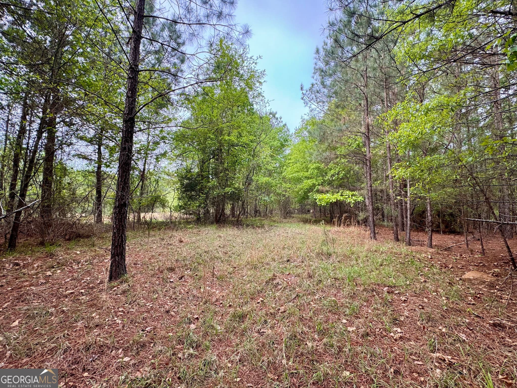 agriculture for sale at 1 Frazier Road, Sparta, GA 31087 — photo 10